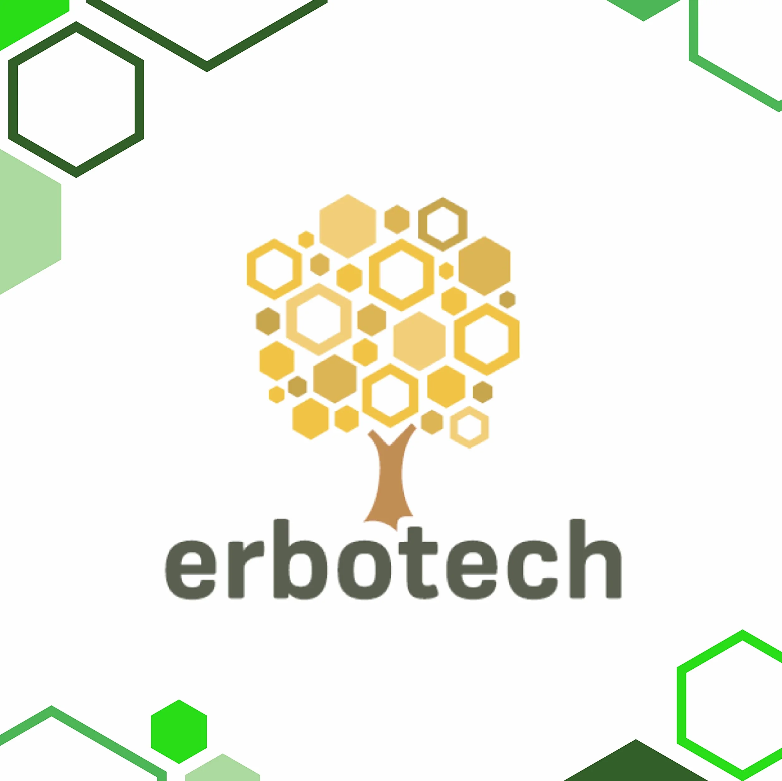 ERBOTECH, Maca Peruviana BIO in Polvere, Busta da 100 g, Ricca Fonte di Minerali, Vitamina B, Vitamina C, Vitamina E, Senza Glutine, Adatto a Vegetariani e Vegani