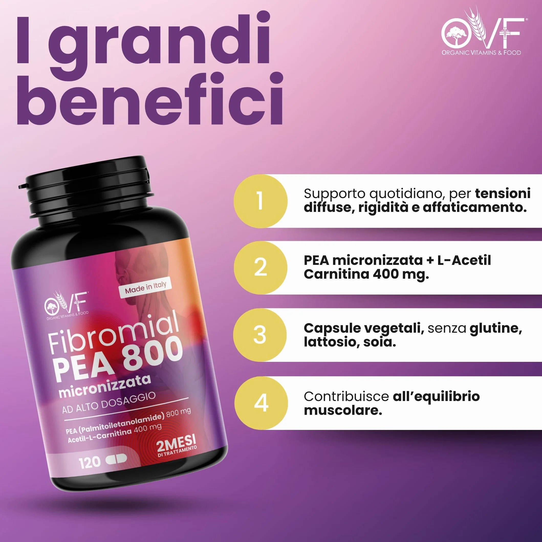 Integratore Fibromial PEA 800 120cps Palmitoiletanolamide Acetil Carnitina Supporto Benessere Nervi Muscoli