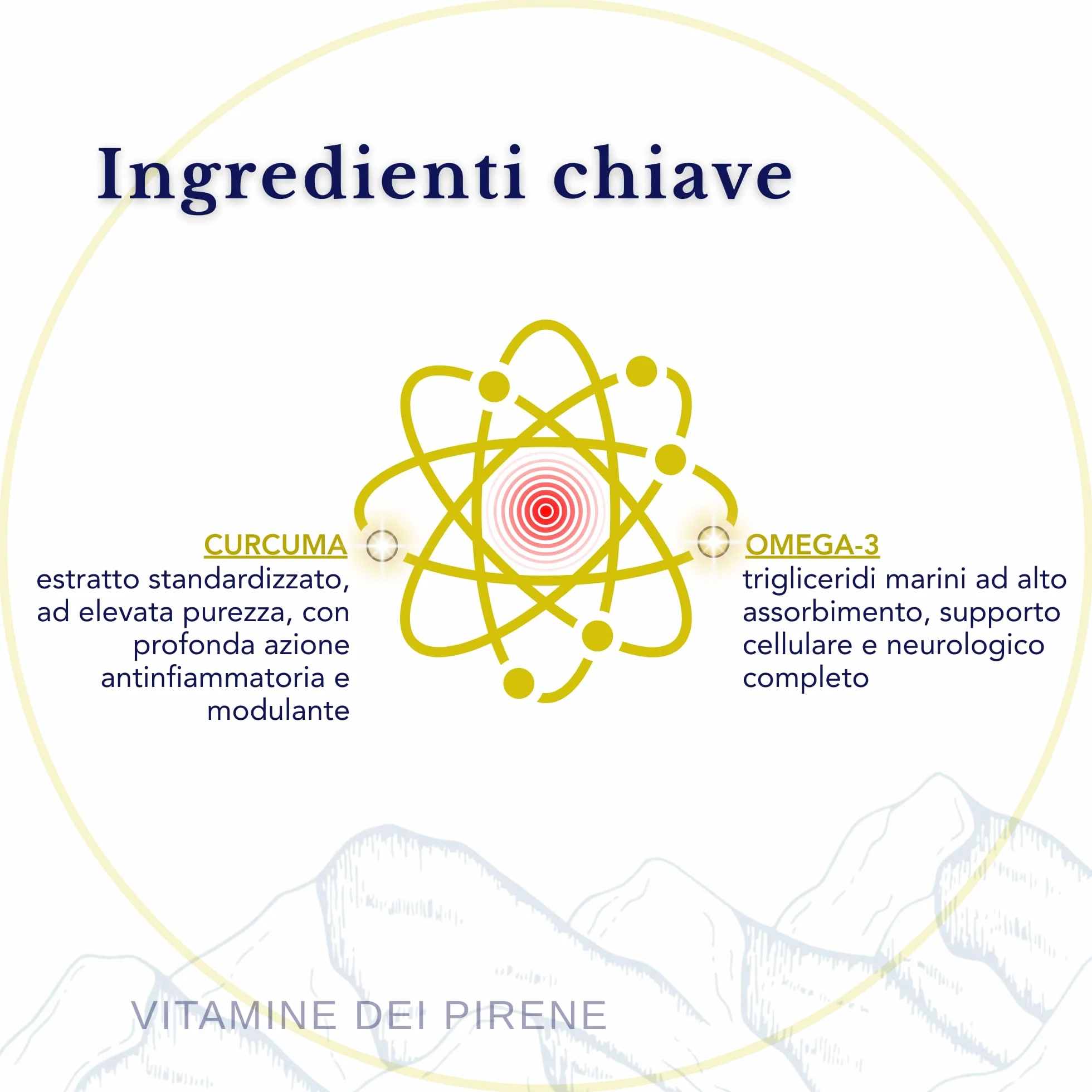 Omega 3 e Curcuma Alta Potenza Integratore 56 Dosi Salute Articolare e Cerebrale