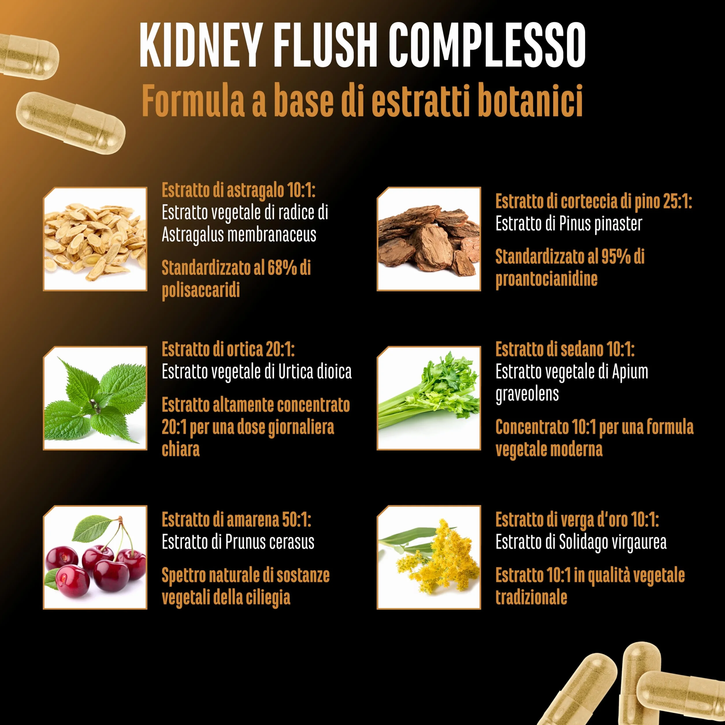Complesso Botanical Flush ad Alto Dosaggio con Astragalo, Ortica, Amarena, Corteccia di Pino, Sedano e Verga d'Oro - 270 Capsule Vegane