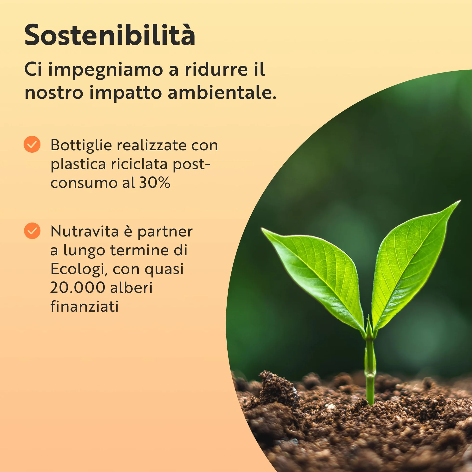 Nutravita Vitamina C 1000mg 180 Compresse con Rosa Canina e Flavonoidi - Acido Ascorbico Vegan