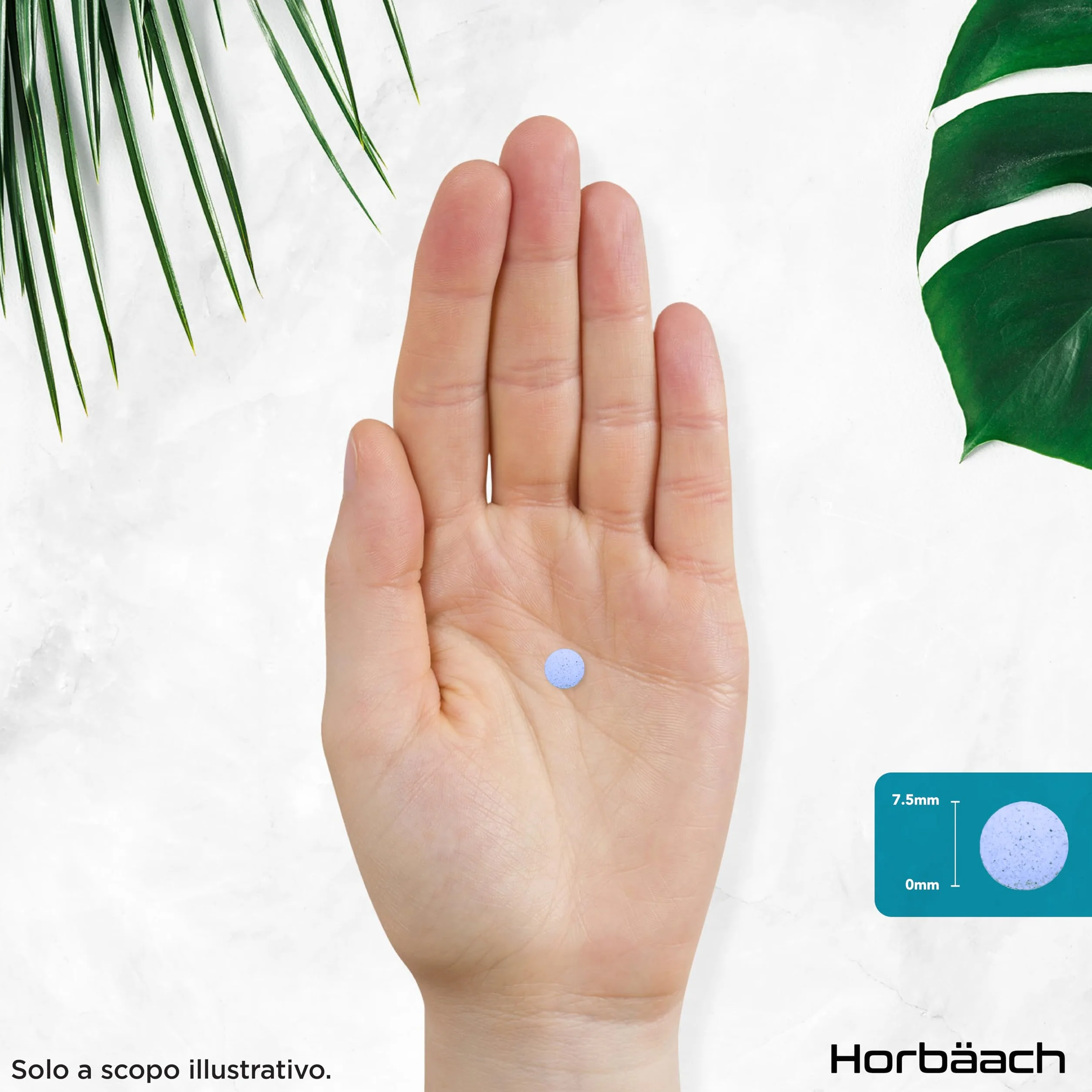 Rame Integratore 2mg | 365 Compresse Vegane per 1 Anno | Alternativa a Rame Integratore Capsule | Integratore Alimentare ad Alto Dosaggio | Chelated Copper Supplement | di Horbaach