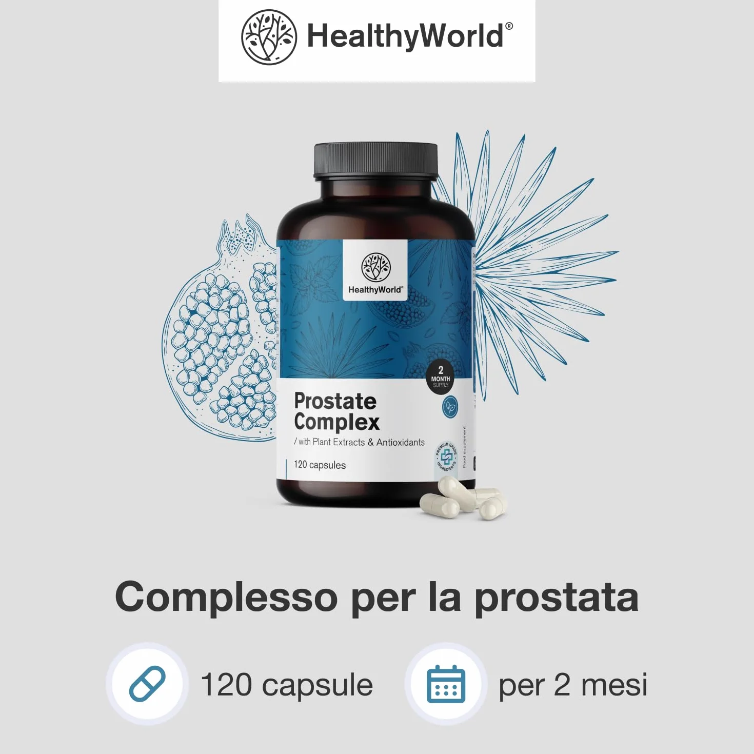 HealthyWorld Complesso Per la Prostata 120 Capsule Vegetali con Semi di Zucca, Melograno, Ortica, Saw Palmetto, Vitamina E, Zinco e Selenio