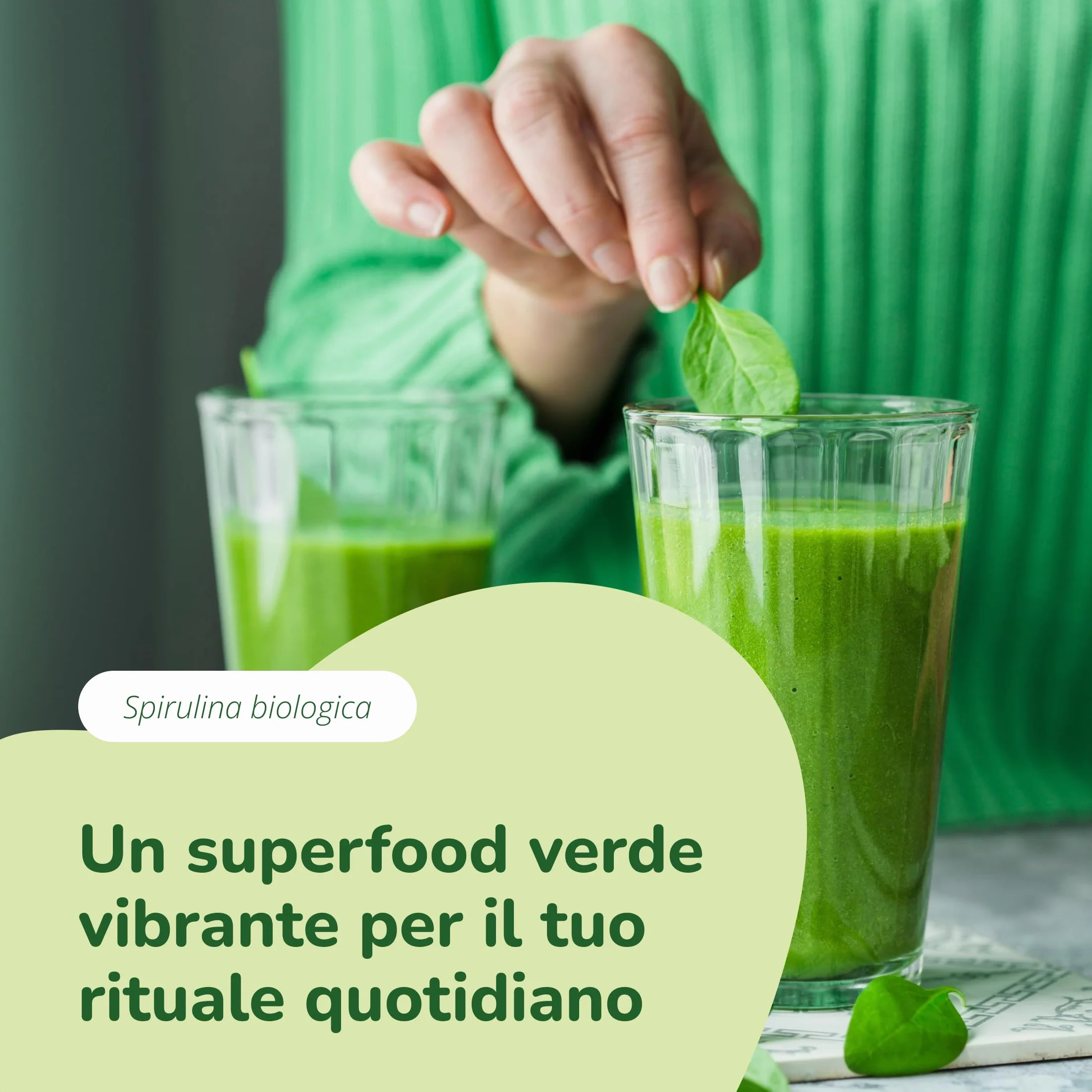 Vegavero® Spirulina Bio 1000 mg 4000 al giorno 3,9% Ficocianina Pura Biologica Platensis