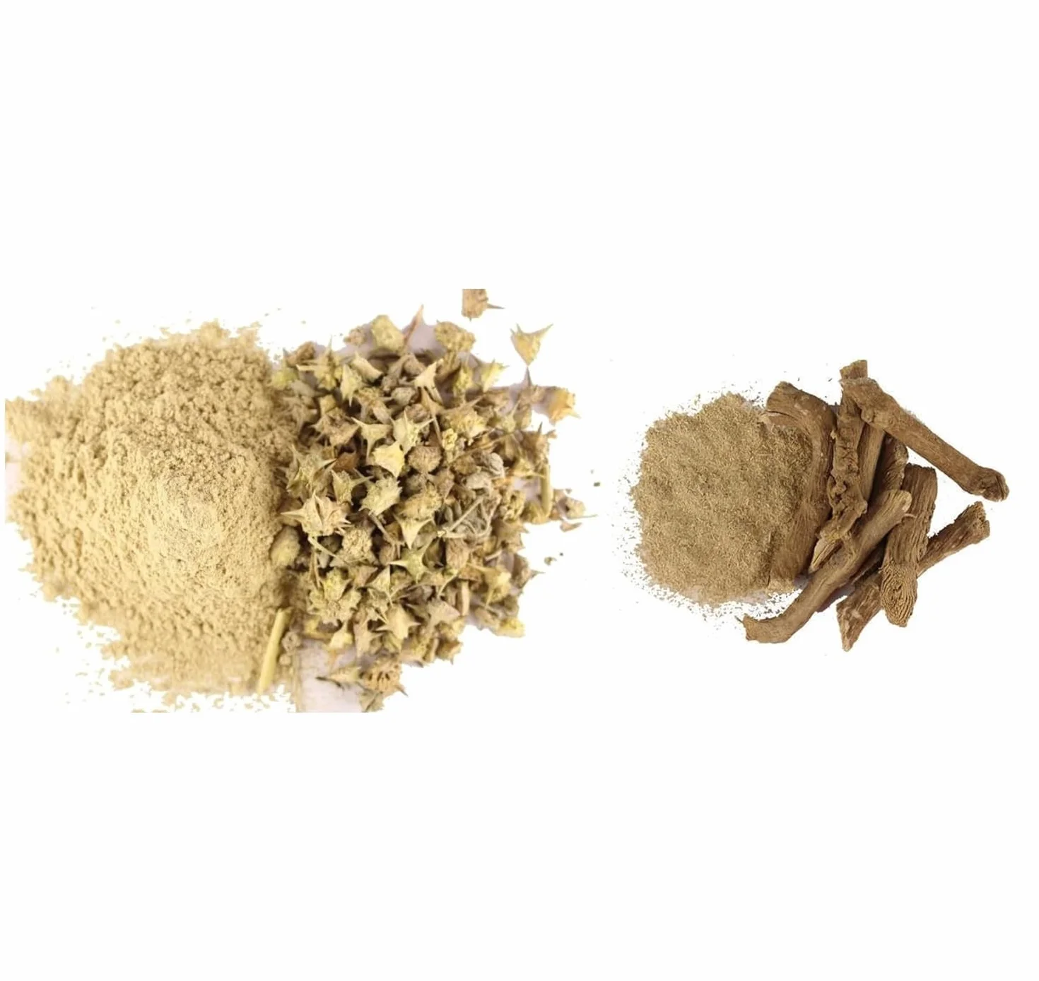 GOKHRU & PUNARNAVA Polvere 50 GM