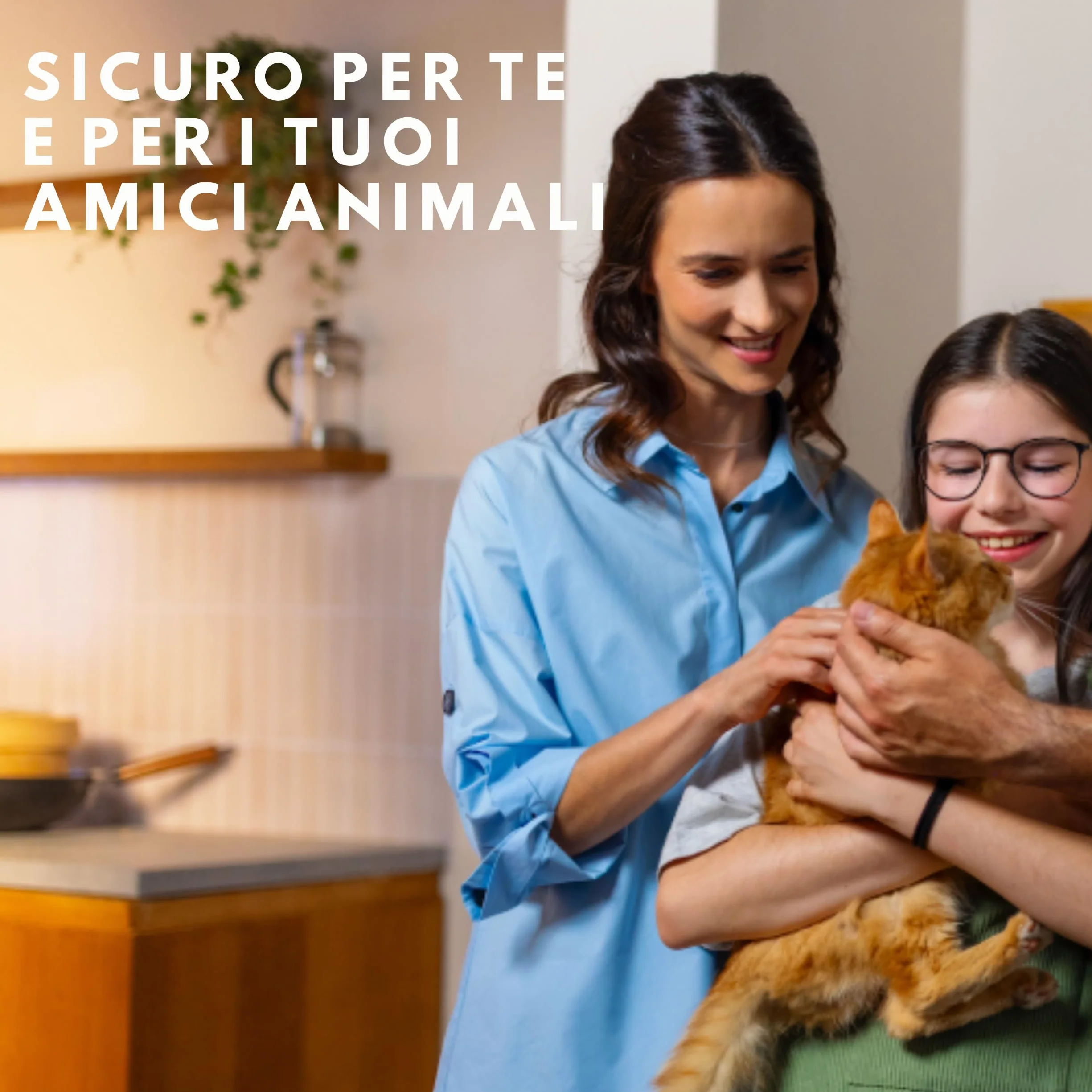 Raid Essentials Trappola Insetti Volanti Base Antimosche, Antimoscerini e Antitarme, Senza Insetticida, Protezione 24/7 dagli Insetti Volanti, per uso Interno, 1 Trappola e 1 Ricarica
