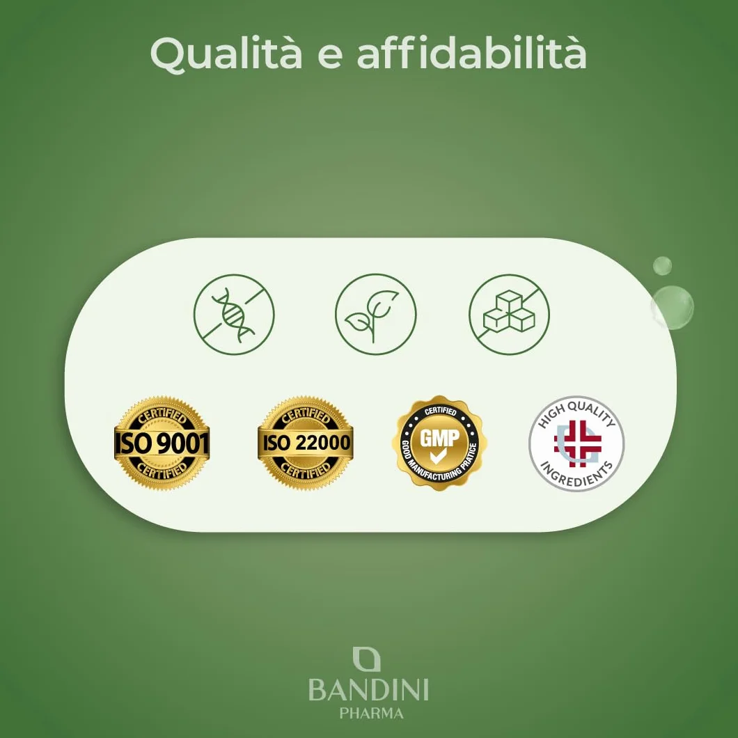 Bandini Ginkgo Biloba 6.000mg 365 Compresse Estratto 50:1 Integratore Nootropico Vegan