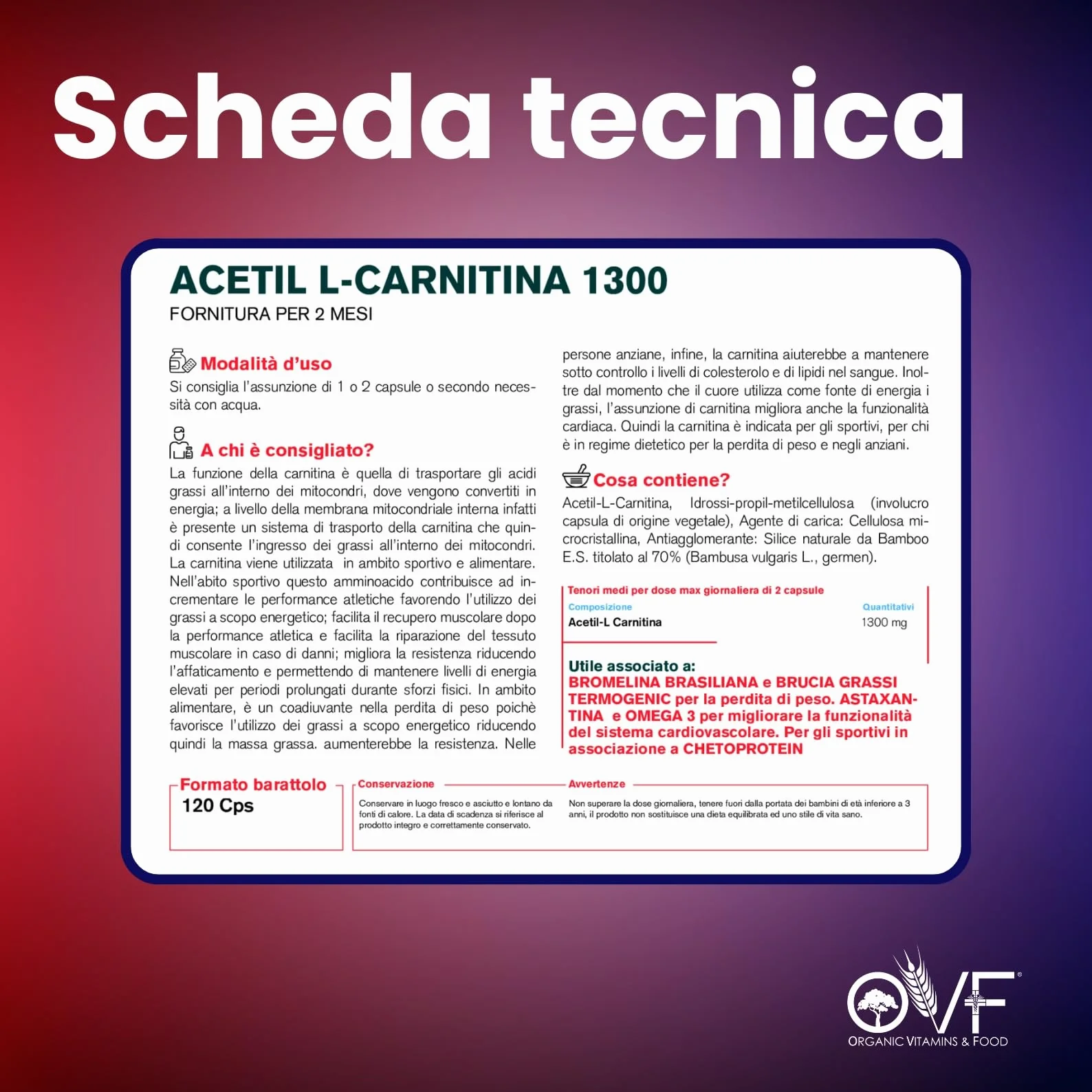Acetil L-CARNITINA 1300mg 120cps - La Carnitina Energia Metabolismo dei Grassi - Made in Italy