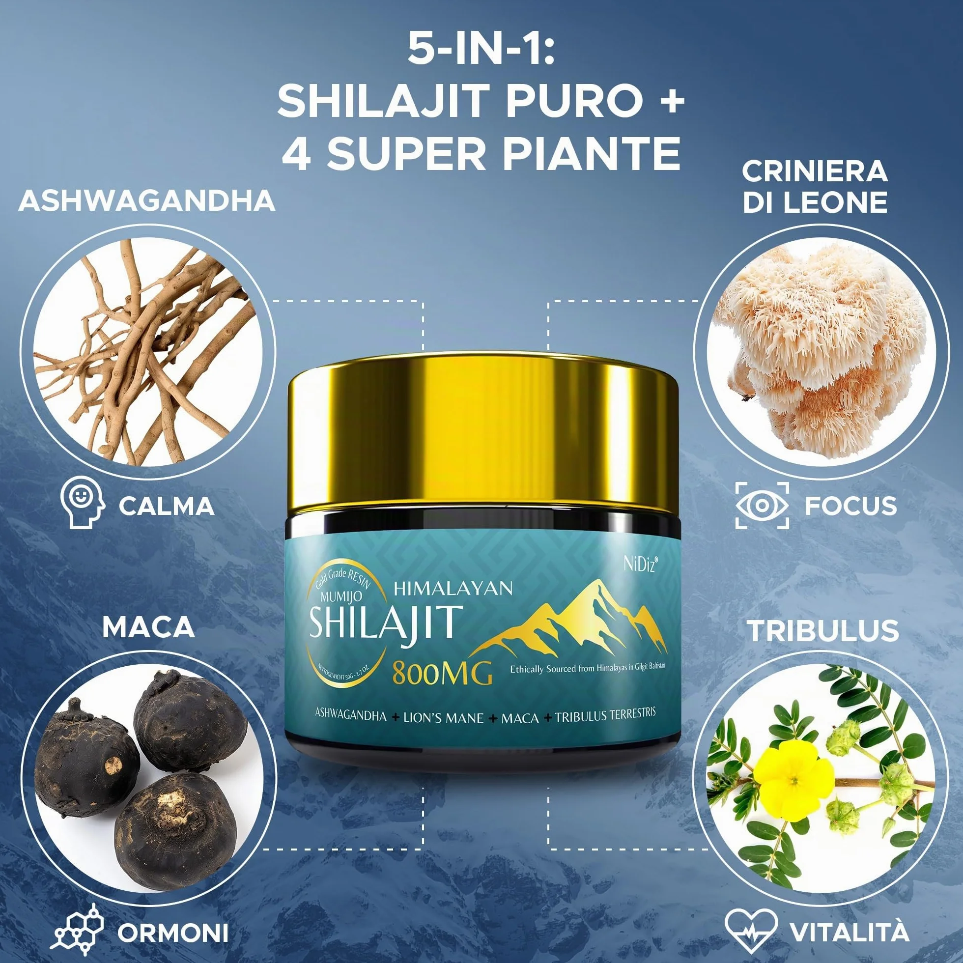 100% Shilajit Himalayano Puro 800MG, Erbe Ayurvediche 5 in 1, Testate in Laboratorio in Europa, 50g