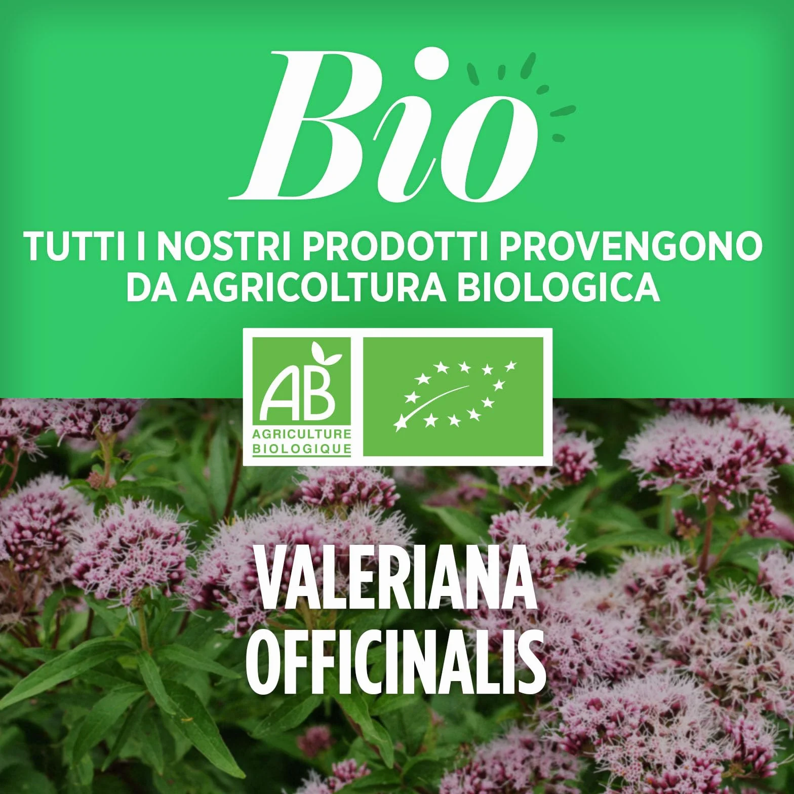 Valeriana Biologica 400mg 200 compresse
