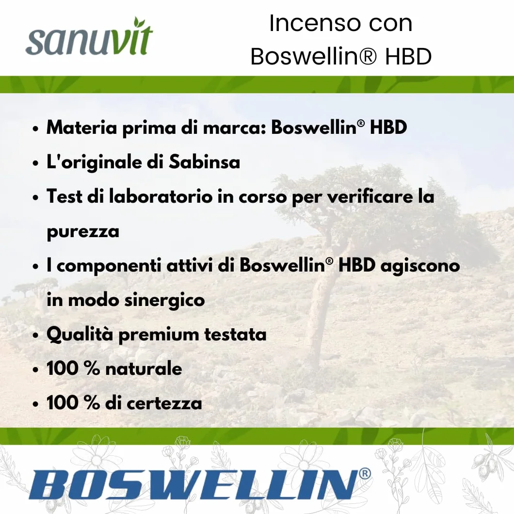 Sanuvit® - Cápsulas de Incienso 500 mg | Altamente dosificado con 500mg de Boswellia serrata india por cápsula | Alta biodisponibilidad | con Boswellin® | Vegano | 180 cápsulas