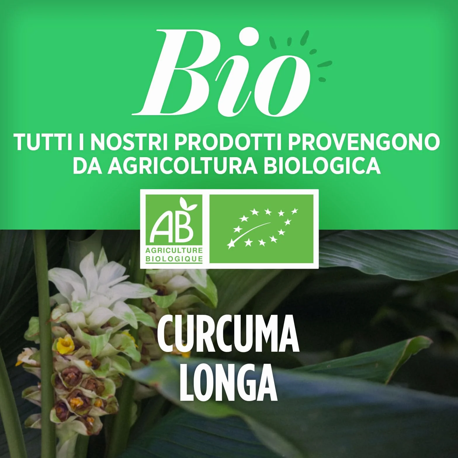 Curcuma Biologico 400 mg 200 compresse