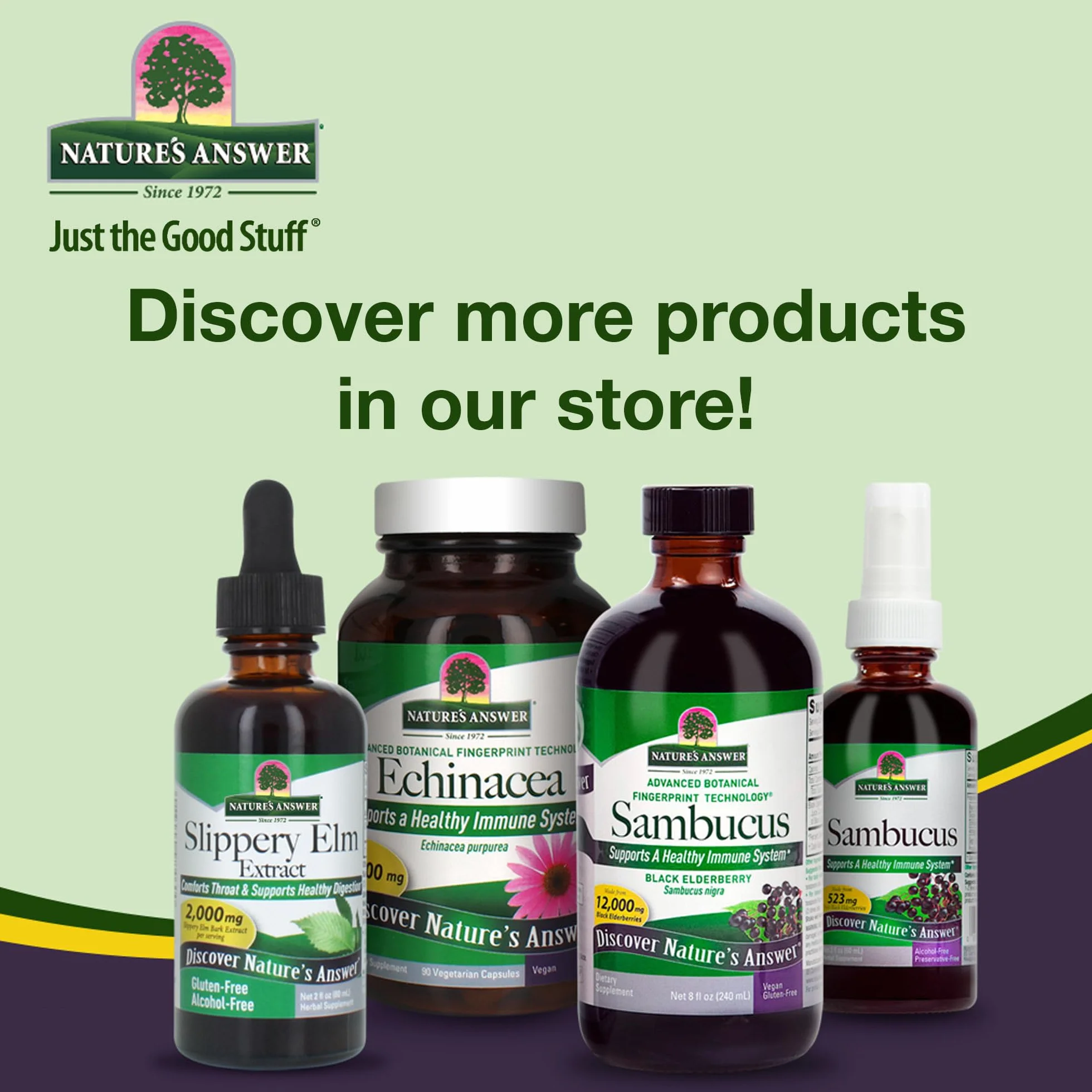 Natural's Answer Gotu Kola Extract 2000mg 30 ml