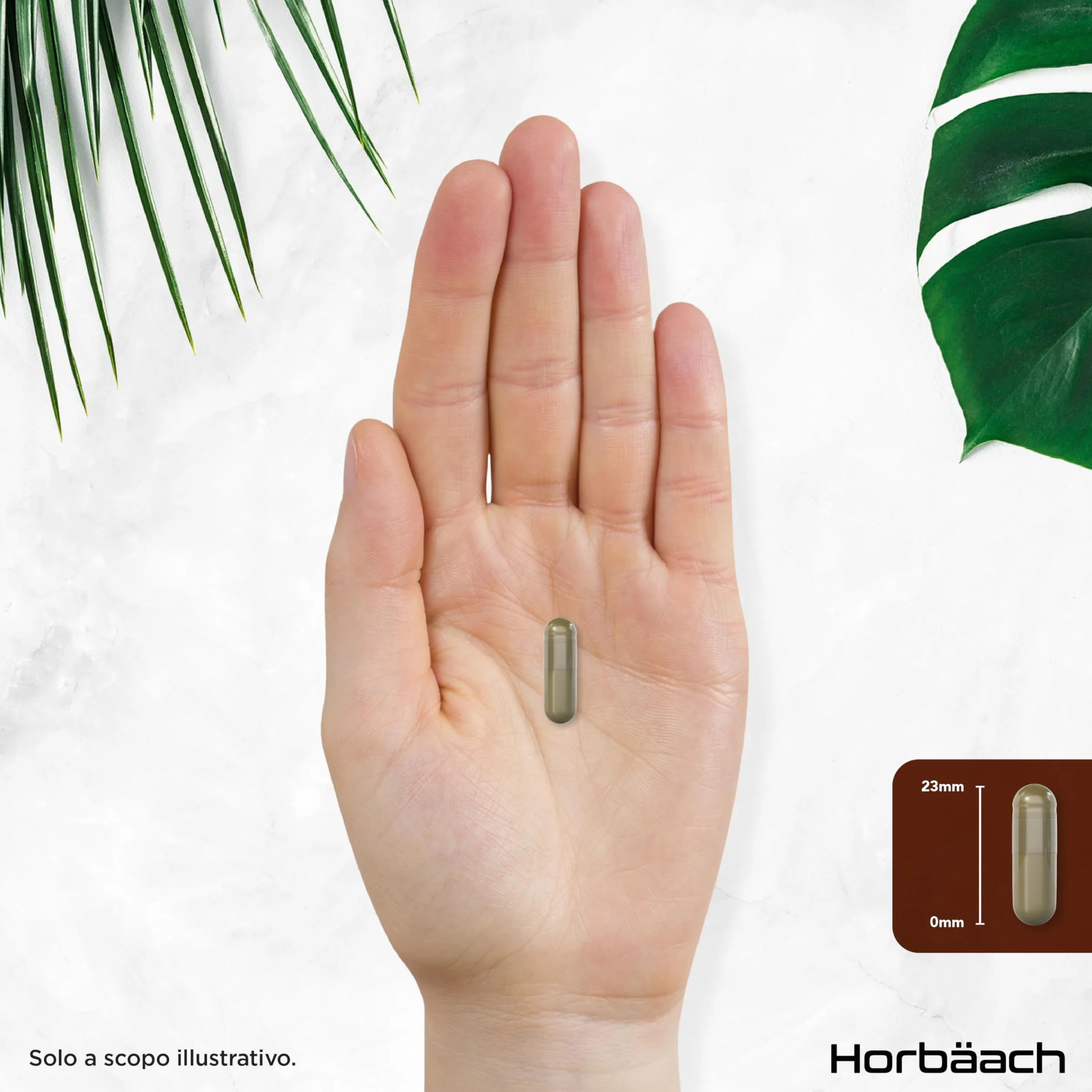 Lions Mane Bio 3000 mg | 120 Capsule Vegane | Hericium Erinaceus | Criniera di Leone Fungo Integratore | Estratto di Funghi ad Alto Dosaggio | Mushroom Supplement | Horbaach