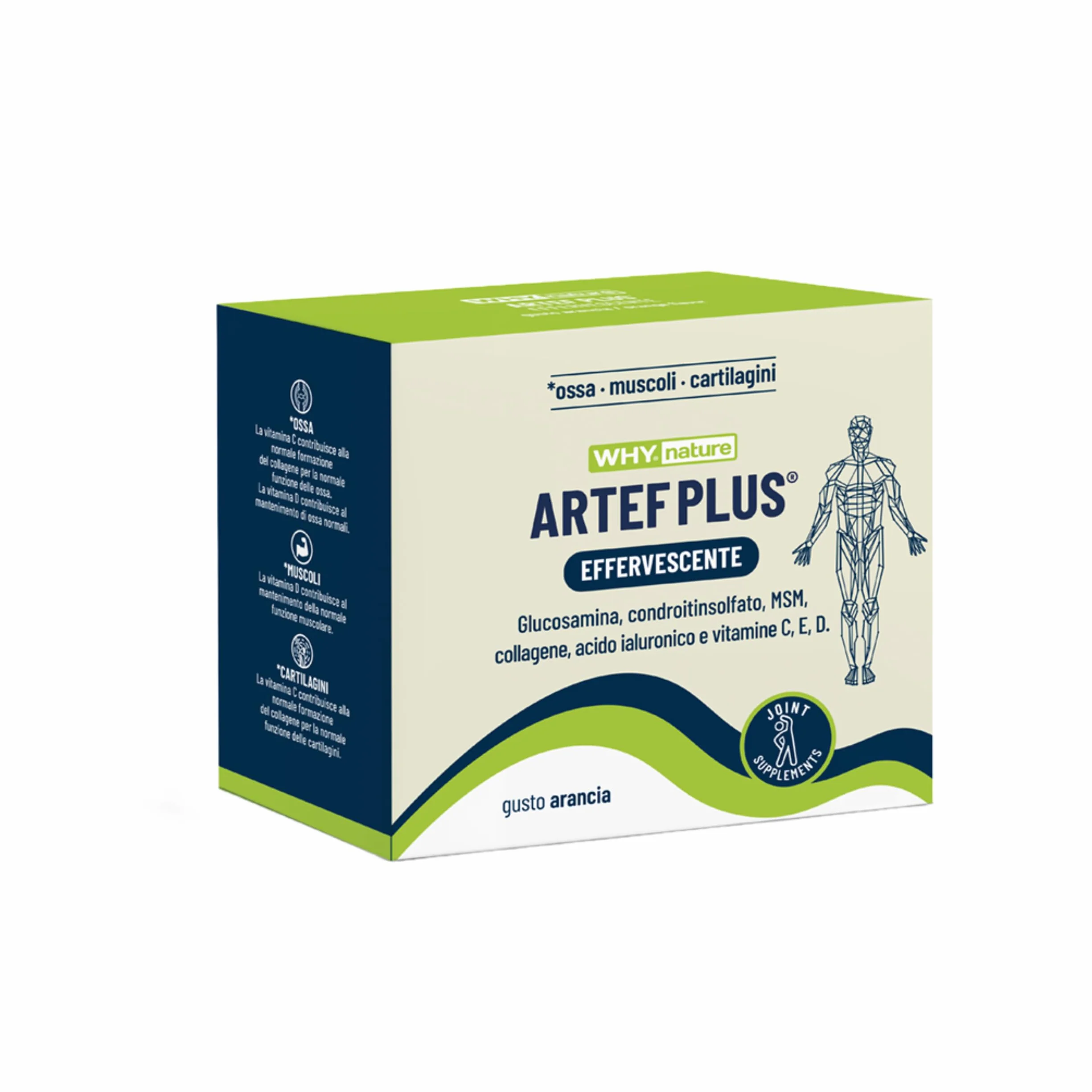 WHY NATURE ARTEF PLUS - Integratore Alimentare Ossa e Cartilagine - Con Vitamina C, Vitamina D3, Vitamina E, Acido Ialuronico - Gusto Arancia - Senza Glutine - 24 Bustine