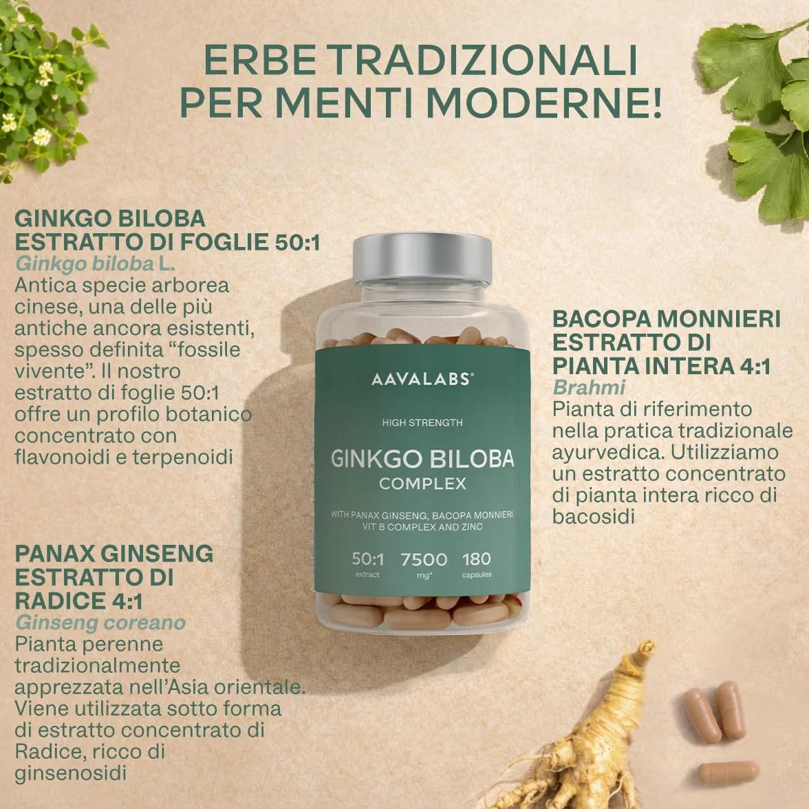 Ginkgo Biloba Integratore 7500mg 50:1 con Ginseng Rosso Coreano, Bacopa Monnieri, Vitamina B Complex, Zinco - Nootropico Memoria e Concentrazione - 180 capsule
