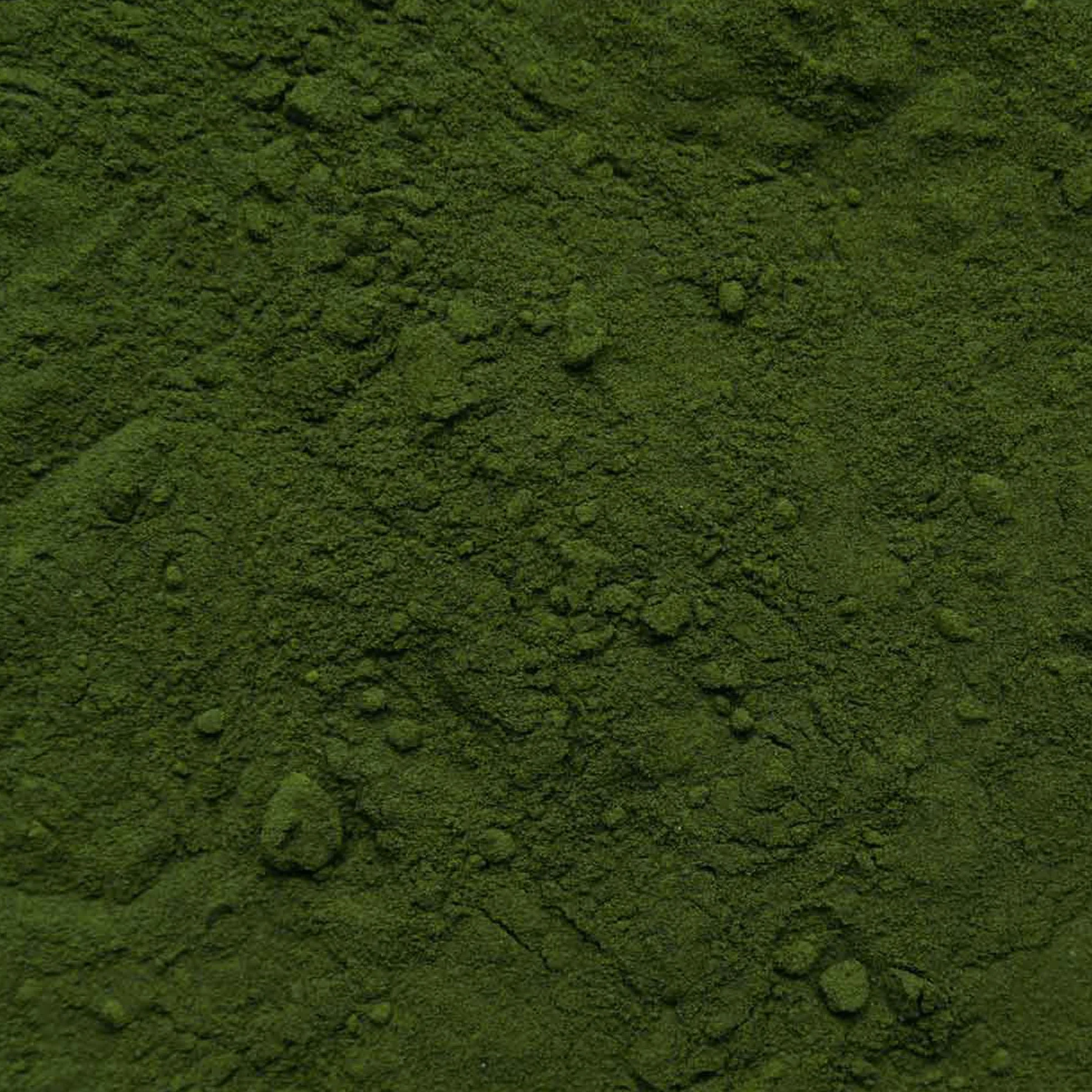 Biotiva Clorella e spirulina in polvere Bio 500g Chlorella vulgaris