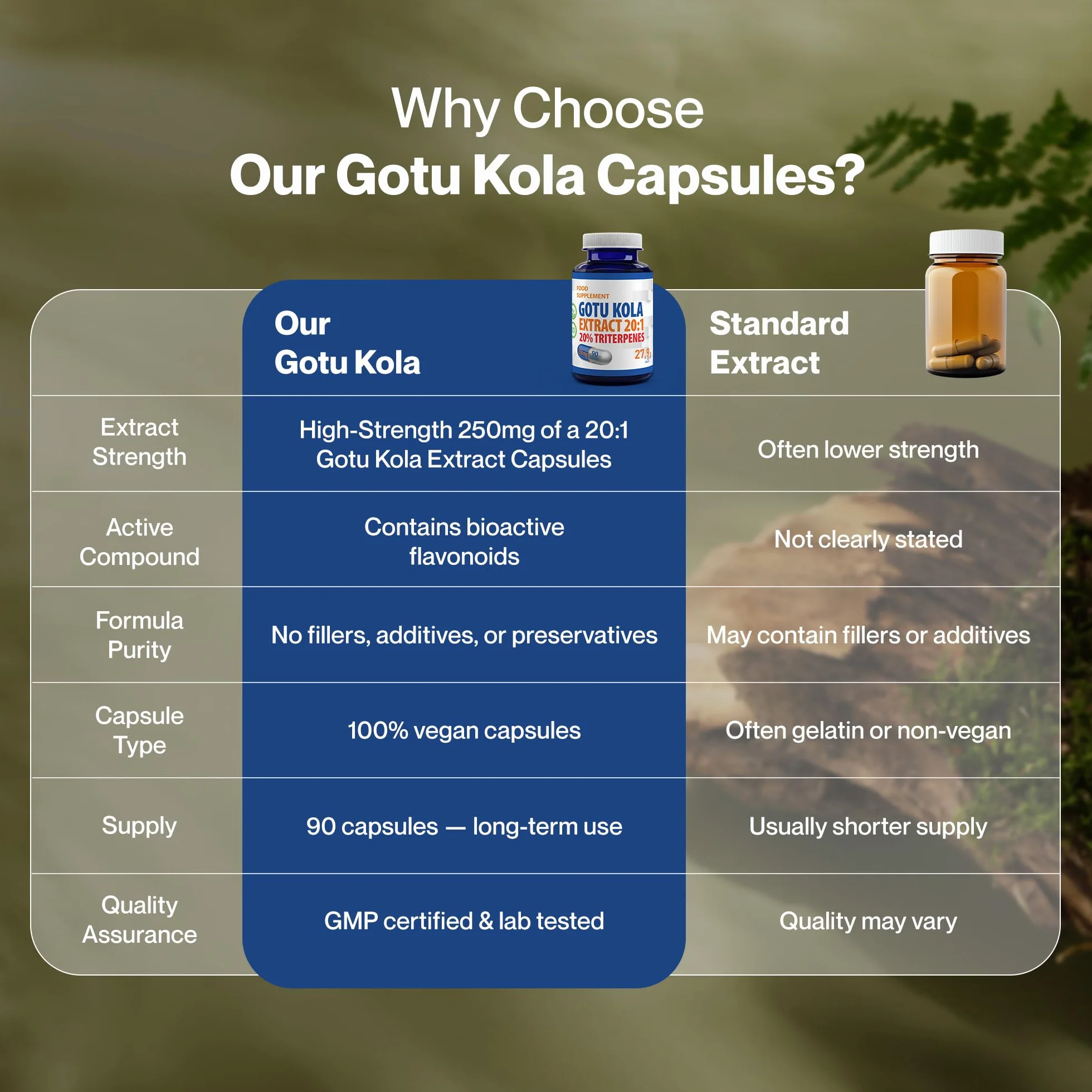 Hepatica Gotu Kola 5.000 mg Estratto 20:1 250 mg Triterpeni 20% 90 Capsule Vegane GMP