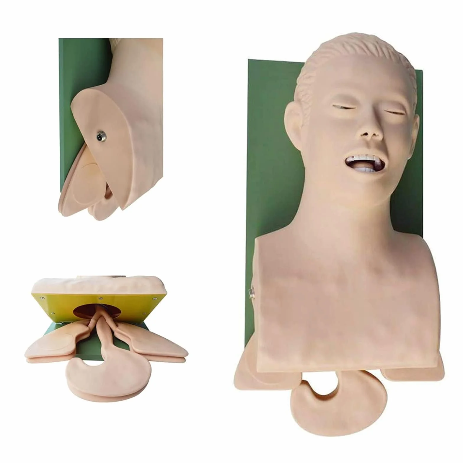 Manichino di intubazione adulto in PVC per insegnamento, modello vie aeree 220V