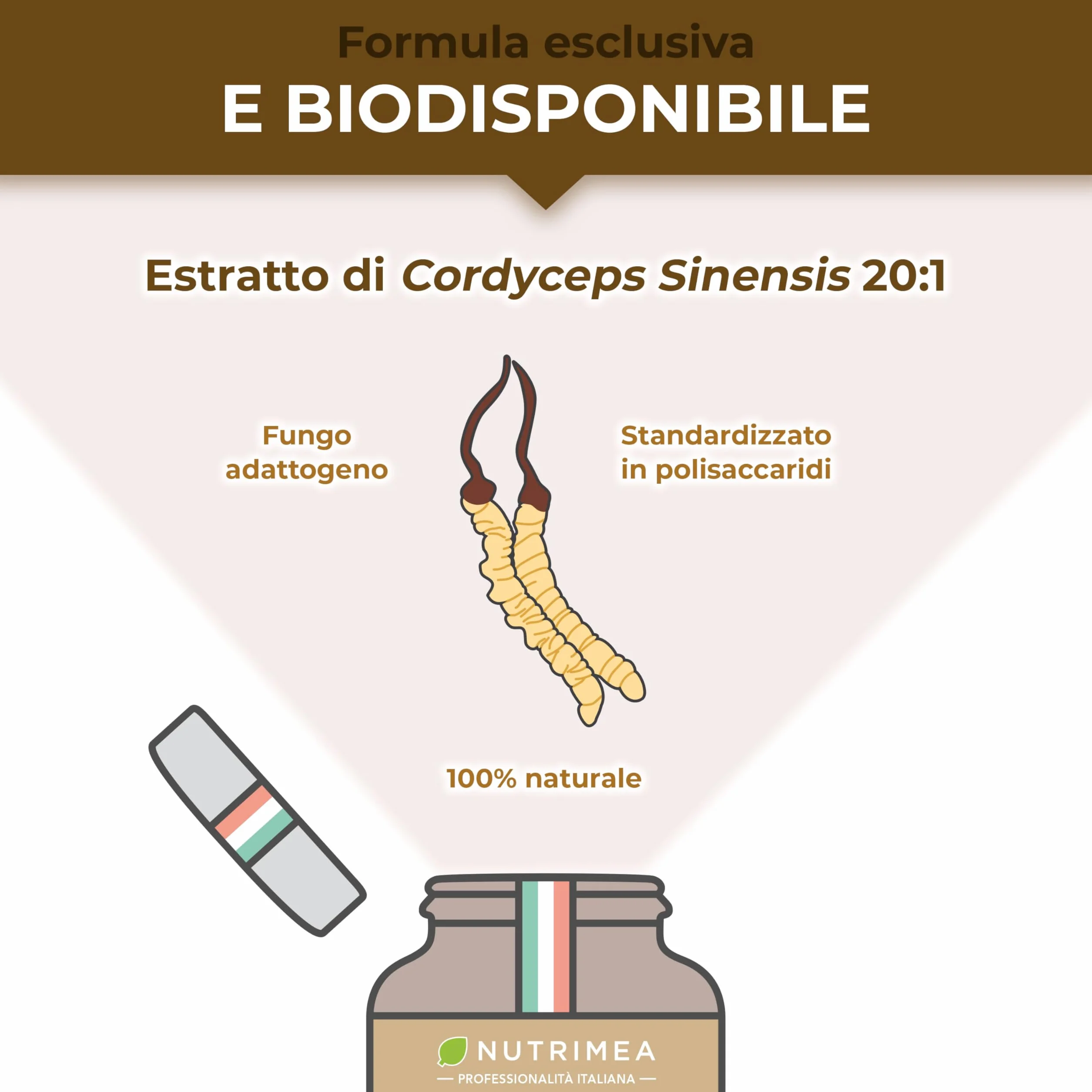 Cordyceps Sinensis | 22200 mg (Estratto di Micelio 20:1) | 100% Naturale | Energia, Resistenza e Immunità | 90 Capsule | Nutrimea