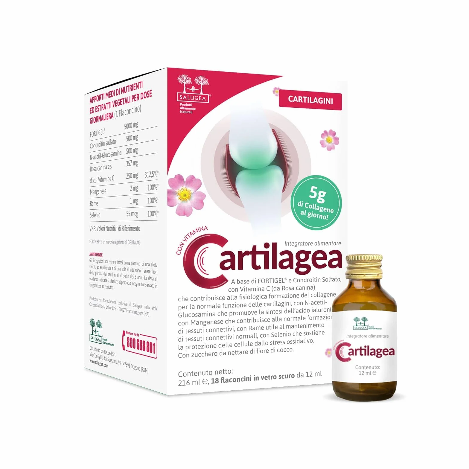 CARTILAGEA Salugea Integratore Cartilagini Collagene Idrolizzato Glucosamina Condroitina Rosa Canina Manganese Rame Selenio 18 Flaconcini