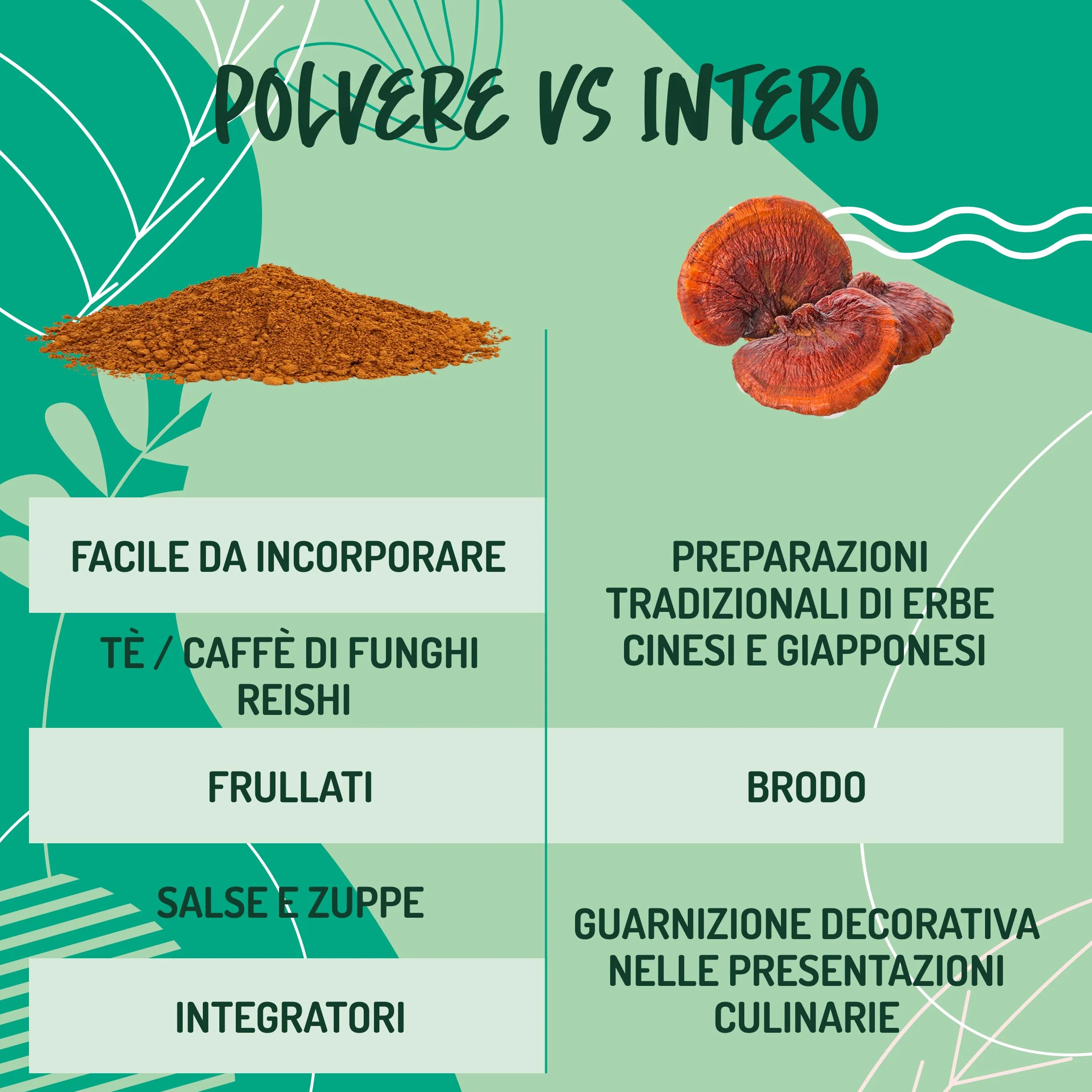 Reishi Ganoderma Lucidum Puro e Bio in Polvere - 300g. Fungo Reishi Biologico Essiccato al Sole e Macinato a Basse Temperature. Funghi medicinali Fonte di Antiossidanti, Fungo Cinese Reishi