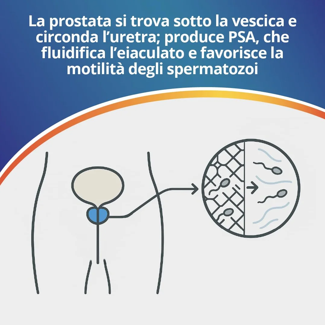 Adeste Test Prostata Rapido PSA Antigene Prostatico Specifico Sangue