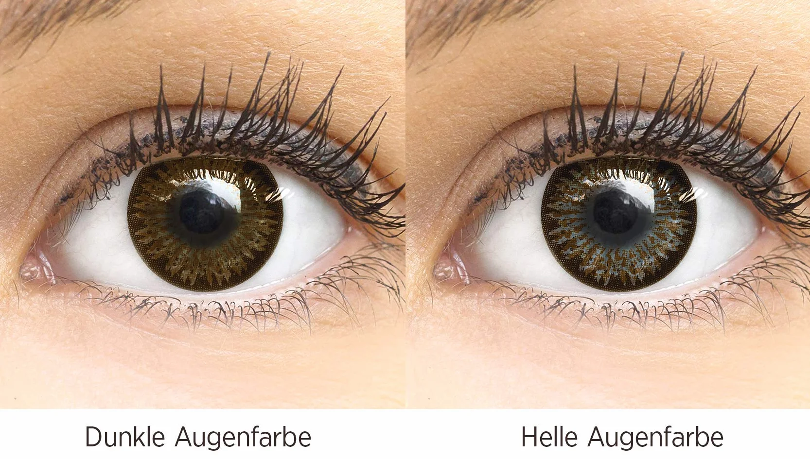 GLAMLENS Lenti a contatto colorate marrone scuro Choco Brown mensili silicone idrogel DIA 14.0 2 pezzi