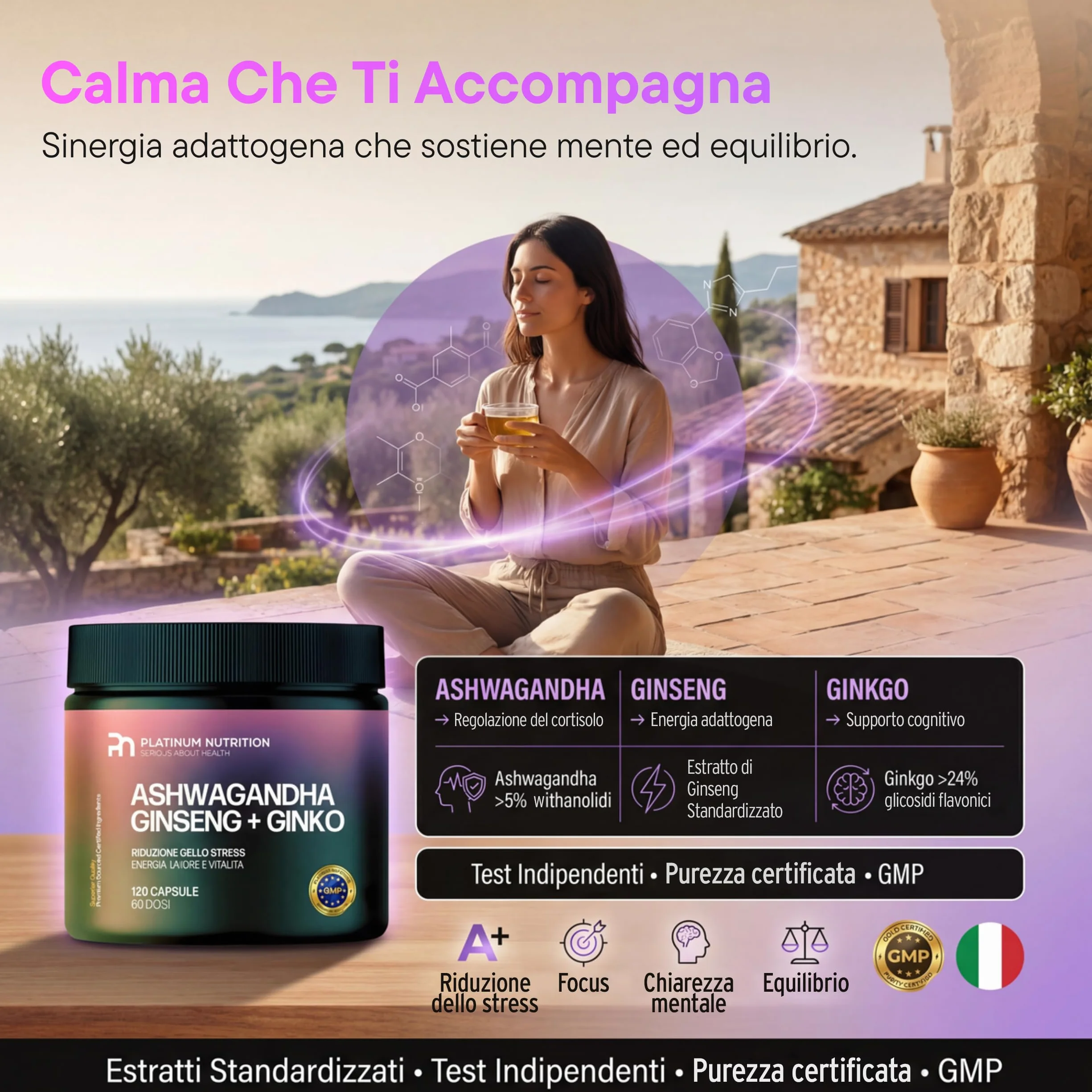 Platinum Nutrition Ashwagandha KSM-66 con Ginseng & Ginkgo Biloba, 120 Capsule (2 Mesi) | Integratore Naturale Adattogeno per Energia Mentale, Memoria, Ansia e Stress | Complesso con Ashwagandha Pura