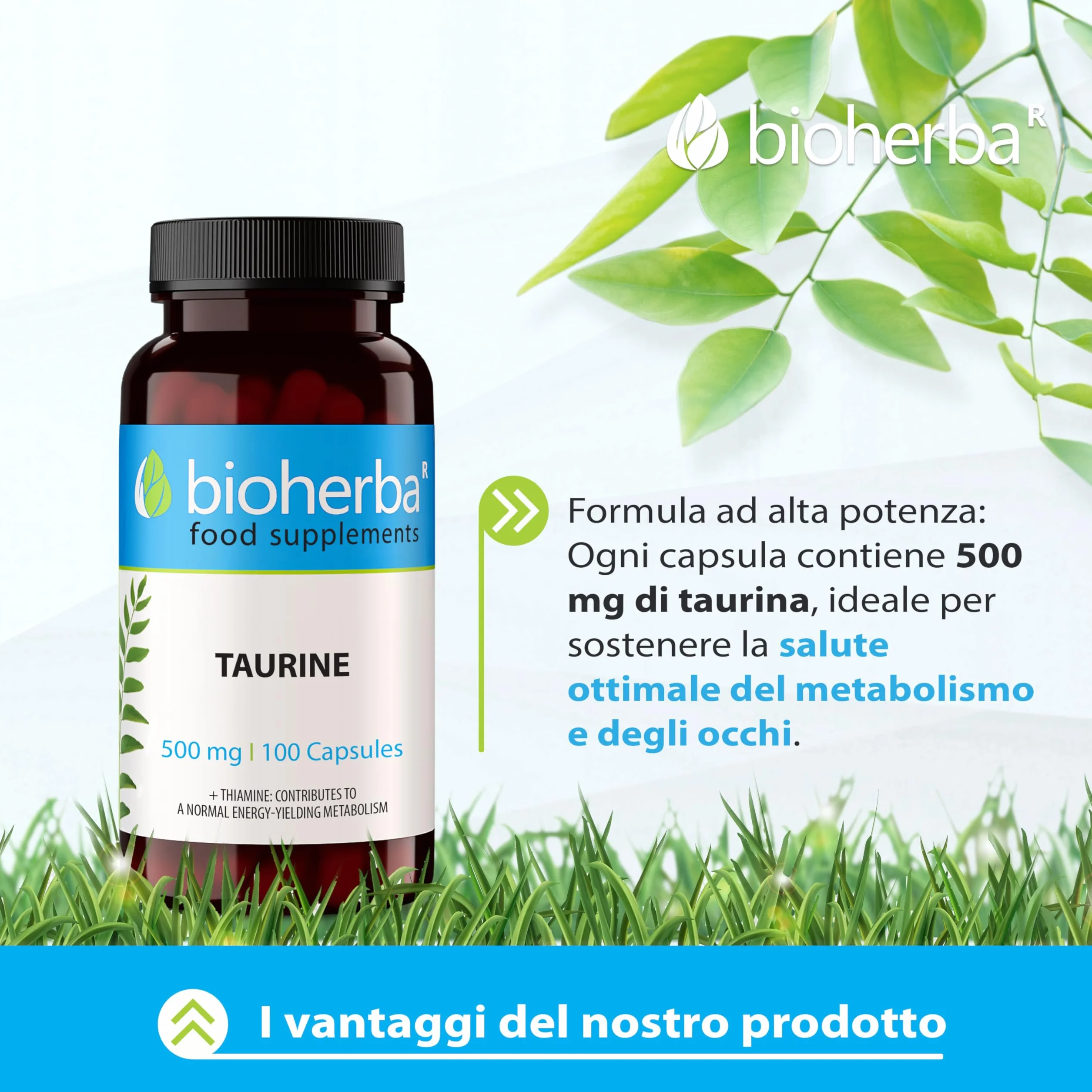 TAURINA Capsule 500 mg - 100 pezzi | Nutrimento per Pre e Post Allenamento | Senza Stearato di Magnesio o Caffeina di BIOHERBA
