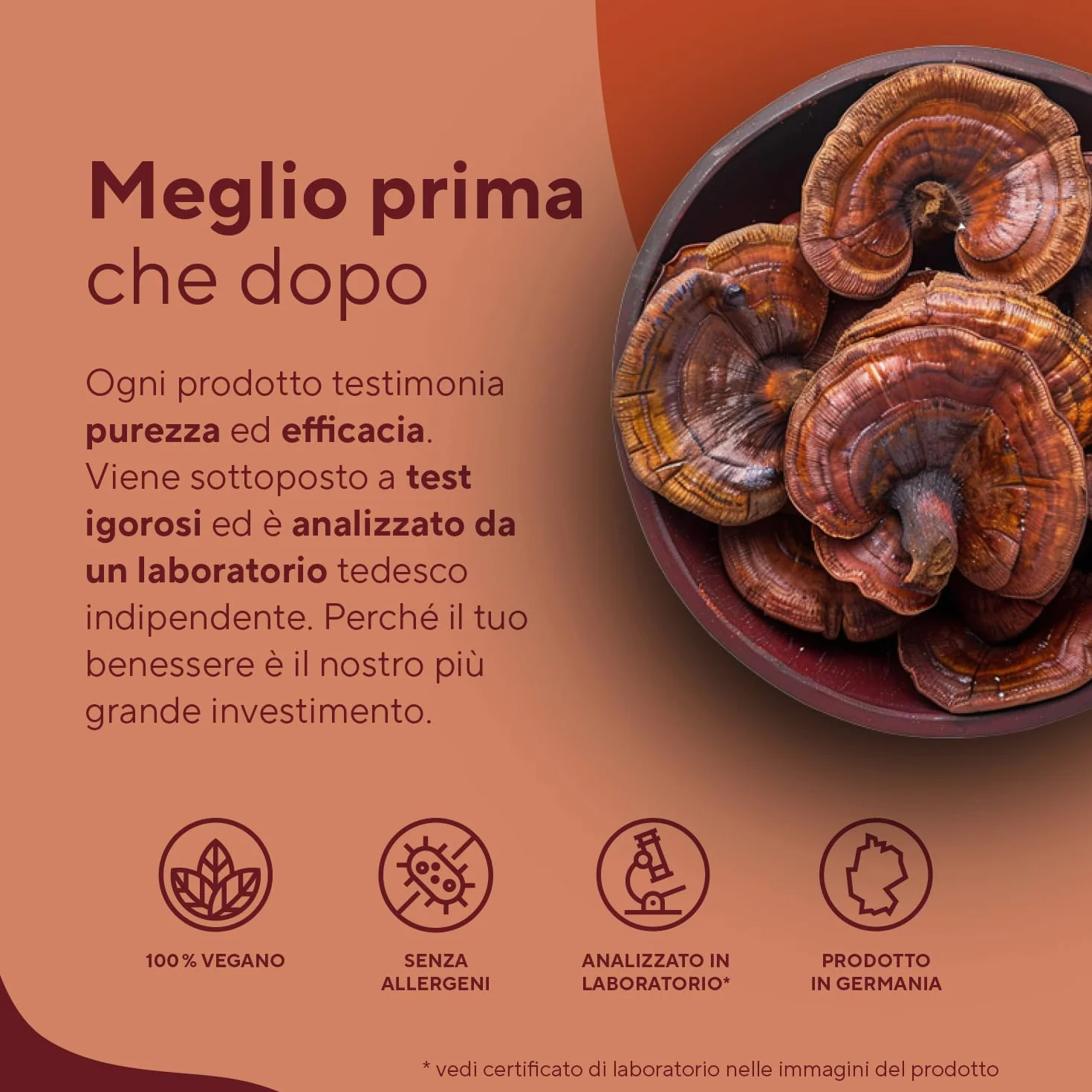 Reishi - 270 Capsule (Big Pack) - 20.100mg al giorno - Alto dosaggio - 40% di polisaccaridi bioattivi - Ganoderma Lucidum puro - fungo cinese Reishi - Vegano, testato in laboratorio - TRUE NATURE