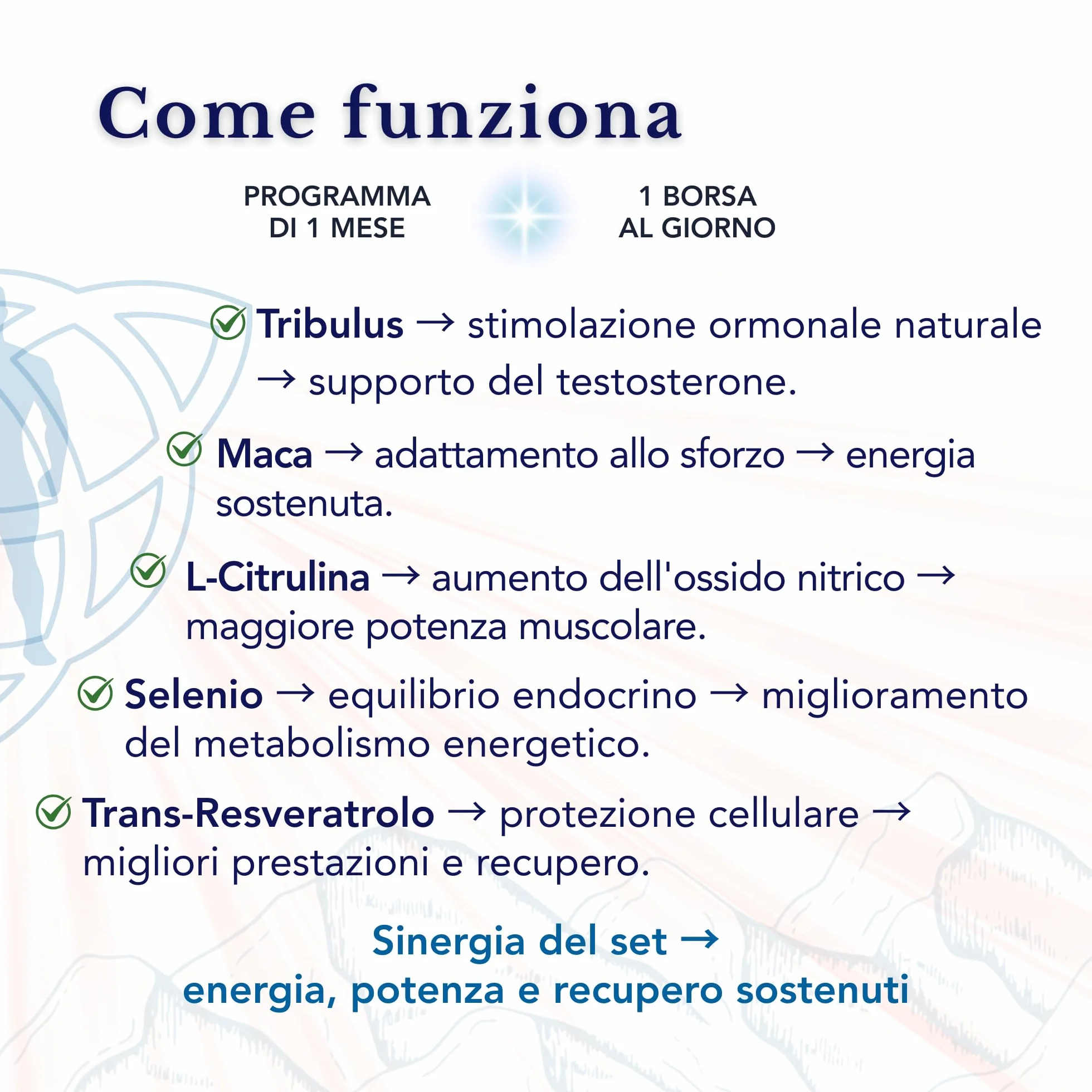 SmartAbsorb™ Tribulus Terrestris Maca L-Citrullina Trans-Resveratrolo Selenio 28 bustine giornaliere energia circolazione immunità