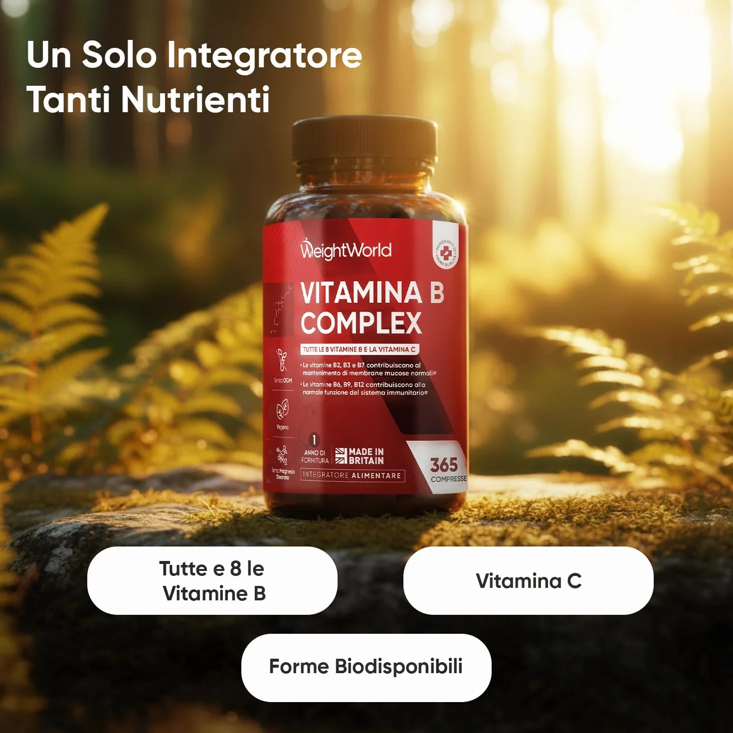 Vitamina B Complex 365 Compresse Vegane con Biotina Acido Folico Vitamina B12 B1 B3 B4 B5 B6 C