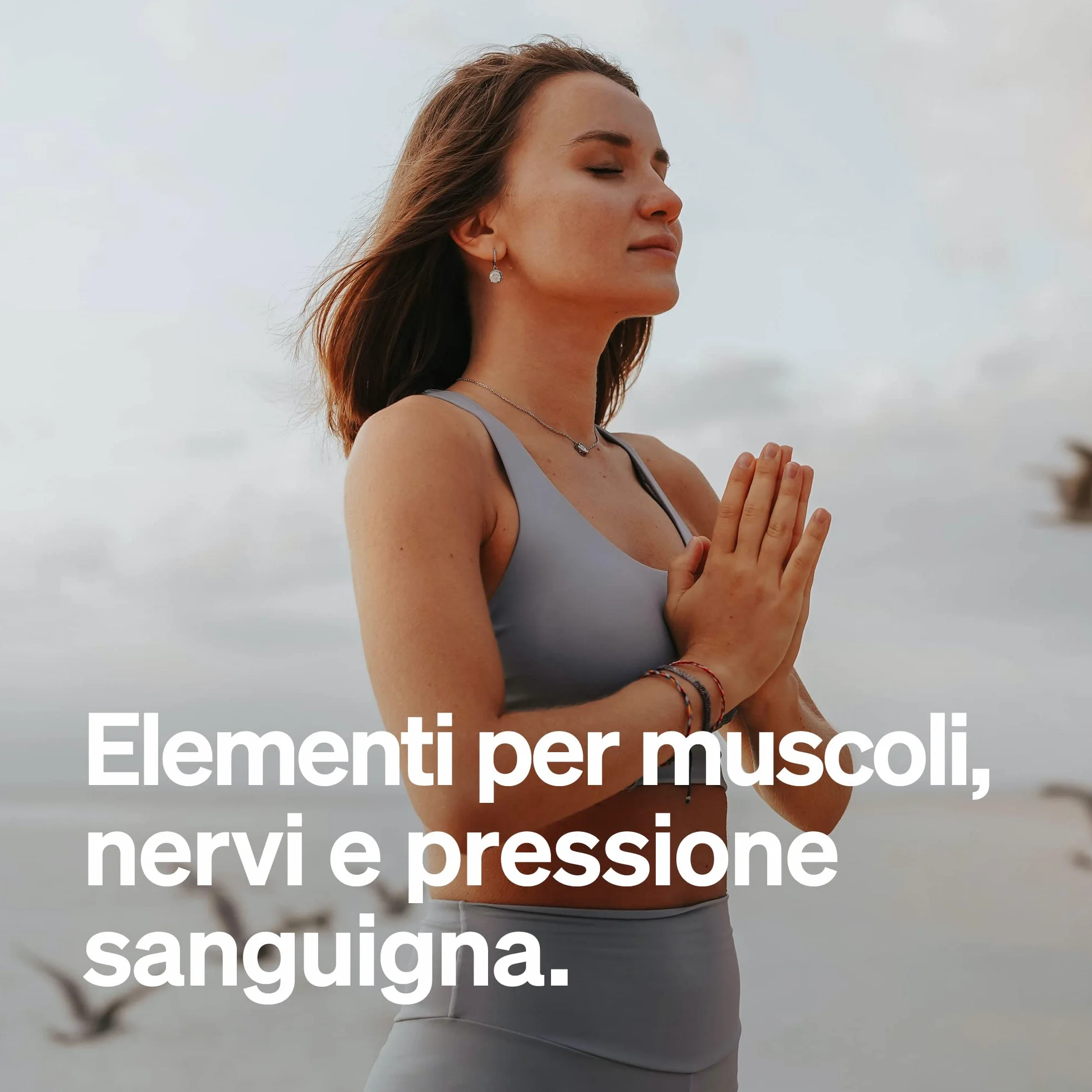 Potassio Integratore – 240 capsule vegane con 800mg di potassio elementare (da citrato di potassio) per dose giornaliera – per la pressione sanguigna, il funzionamento dei muscoli e il sistema nervoso