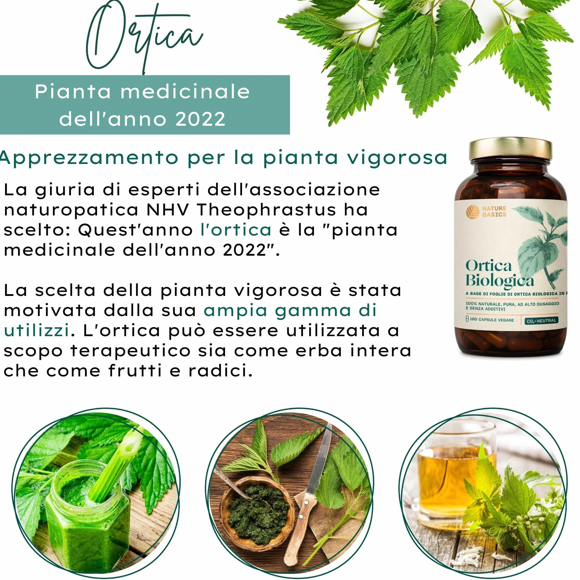 Ortica biologica 180 capsule 900 mg polvere di foglie pura vegana certificata