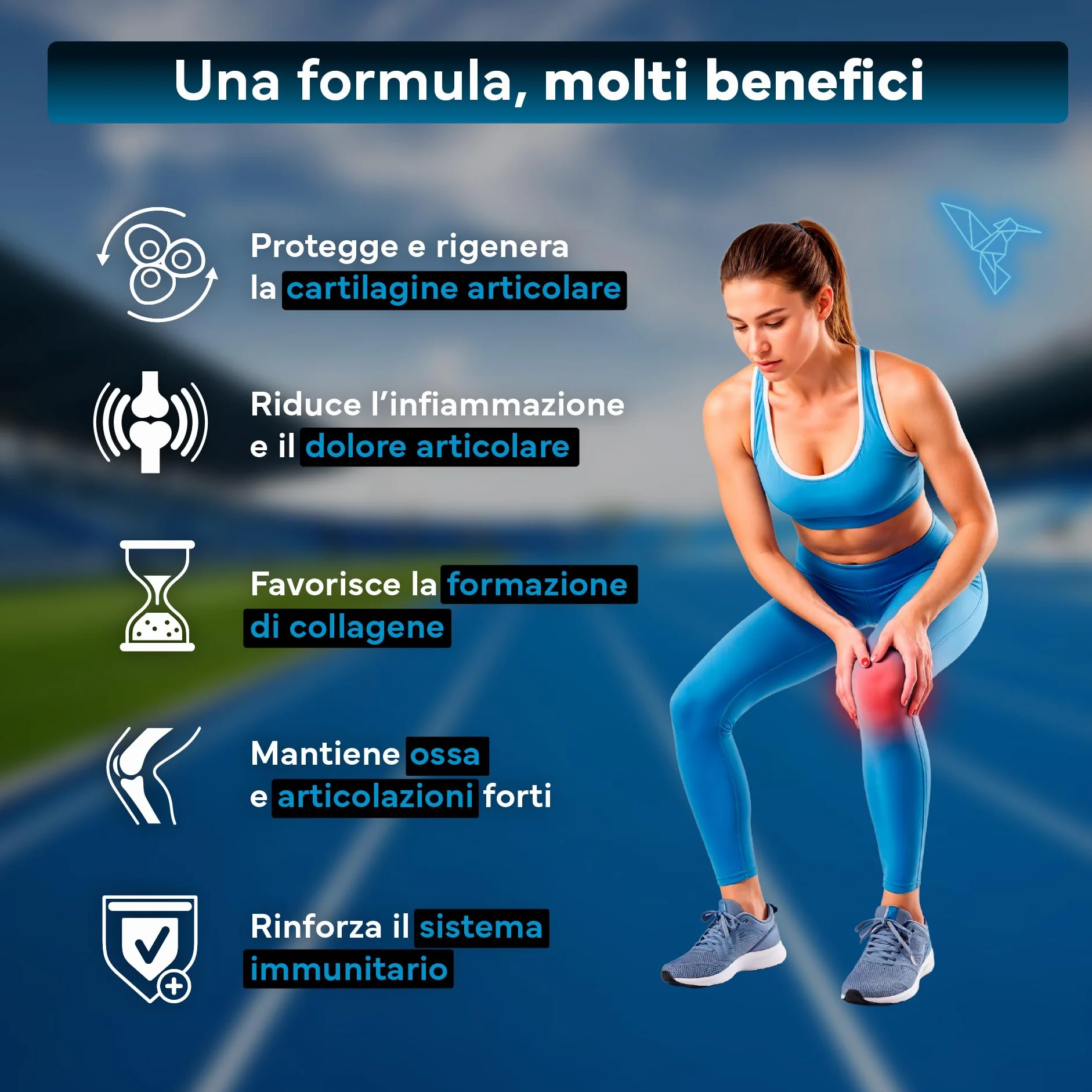 Glucosamina, Condroitina e MSM – Integratore per Articolazioni, Cartilagine e Ossa – Formula con Boswellia, Vitamine C e D3 – 180 Capsule ad Alta Densità – Sevens Nutrition