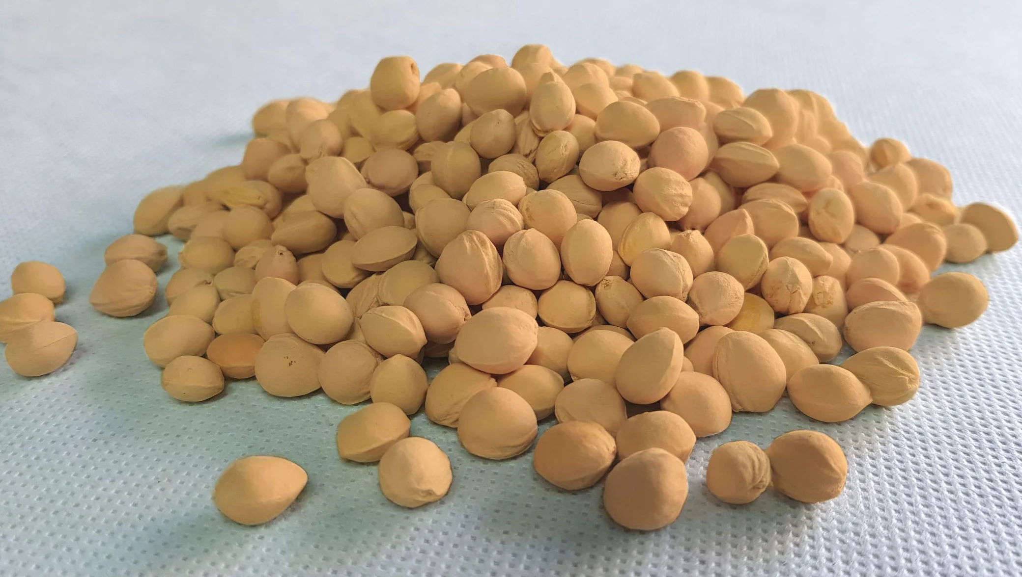 FASCIA DORSALE TERMICA -Blu- Riscaldante con Noccioli di Ciliegia per Collo, Spalle, Schiena, Addominale, Cervicale, Lombare, Scaldacollo, Antistress, Effetto Massaggiante, Riscaldabile in Microonde