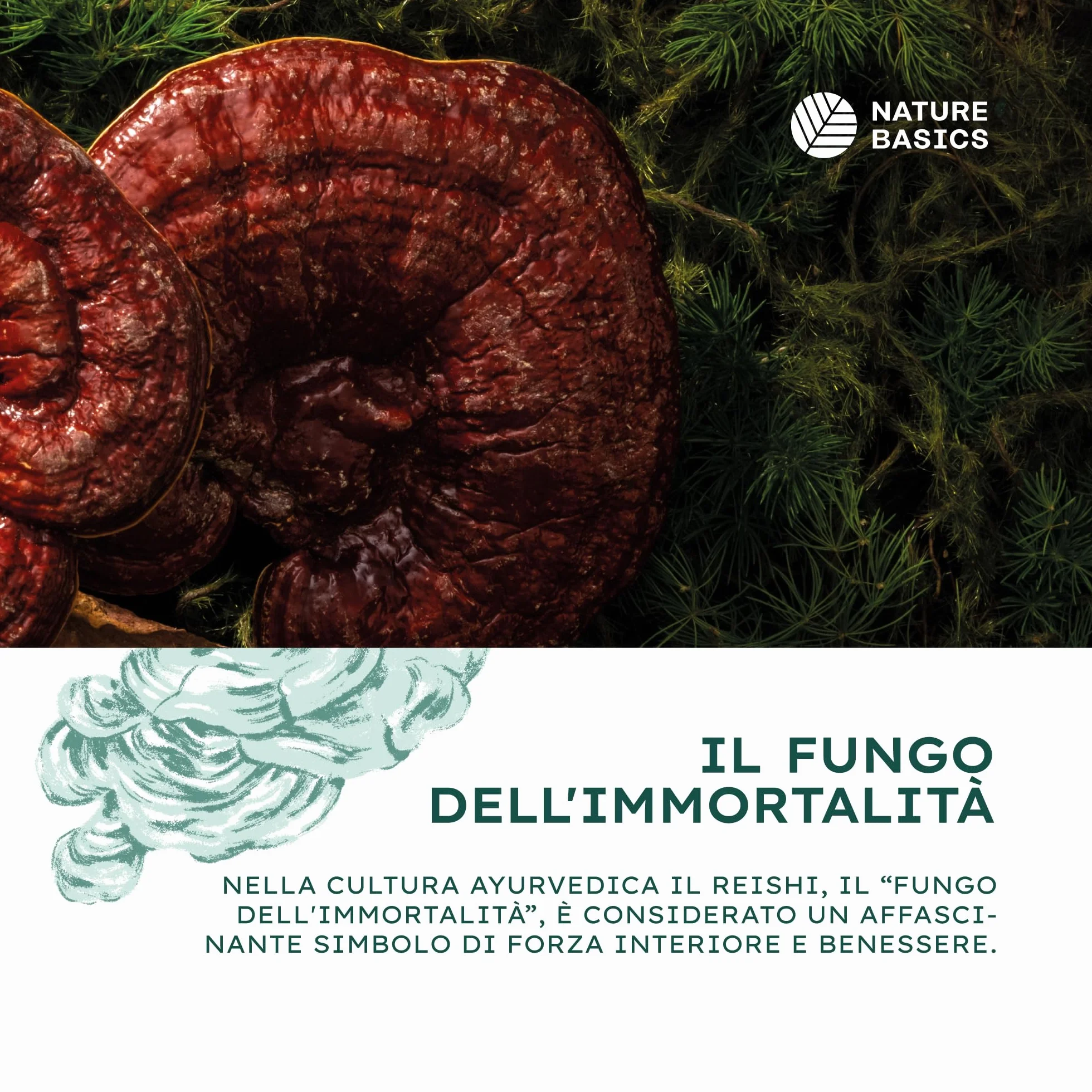 Reishi biologico - 120 capsule ad alto dosaggio / 1500 mg di estratto di Reishi biologico di alta qualità con 600 mg di polisaccaridi per dose giornaliera/Vegano e certificato