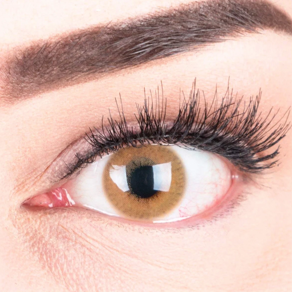 GLAMLENS Lenti a Contatto Colorate Marrone Chiaro Grace Brown Hazel - Mensili - 2 Pezzi - DIA 14.3 - Senza Correzione 0.00 Diottrie