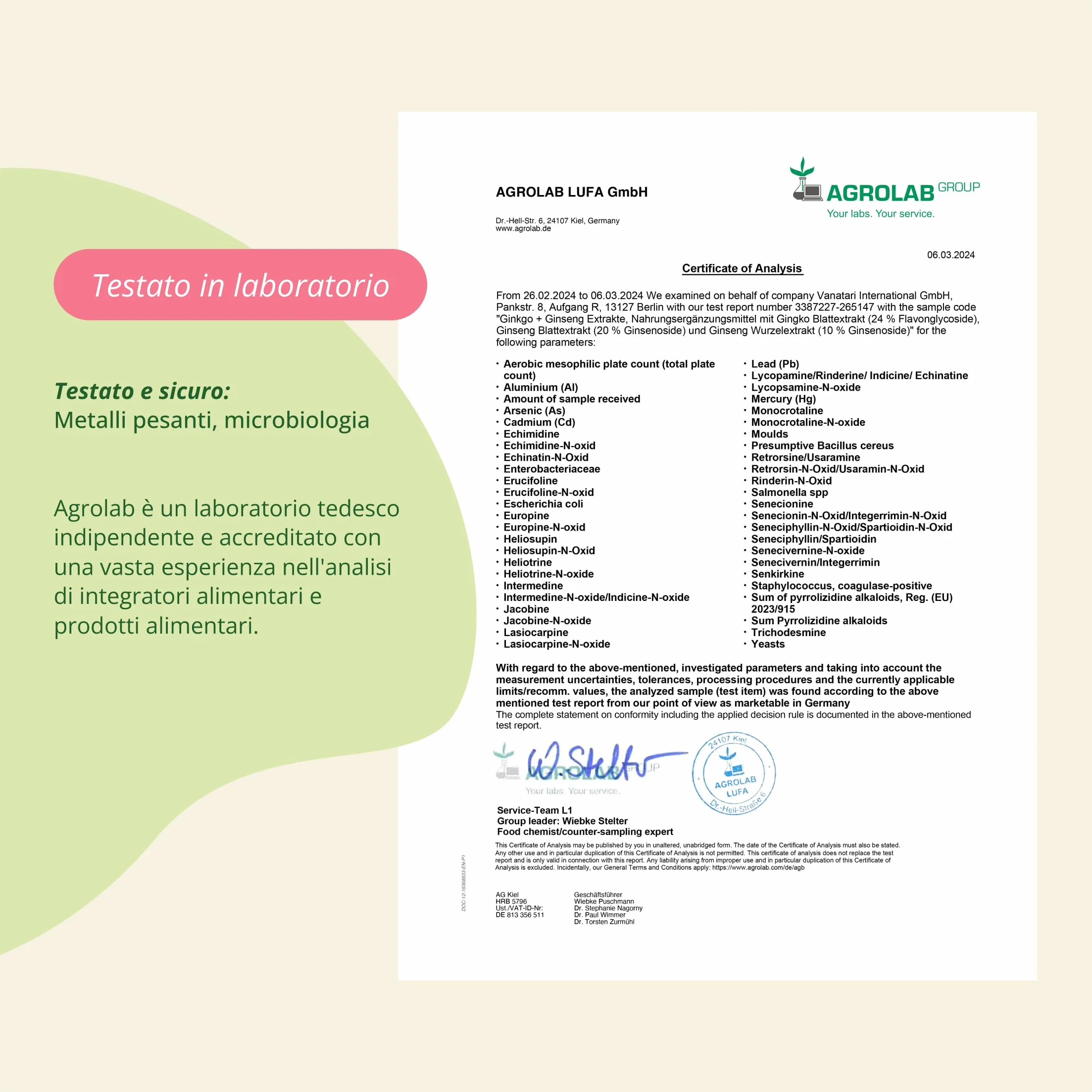 Vegavero® Ginkgo Biloba e Panax Ginseng 120 capsule 20% Ginsenosidi 24% Glucosidi Flavonoidi Vegan