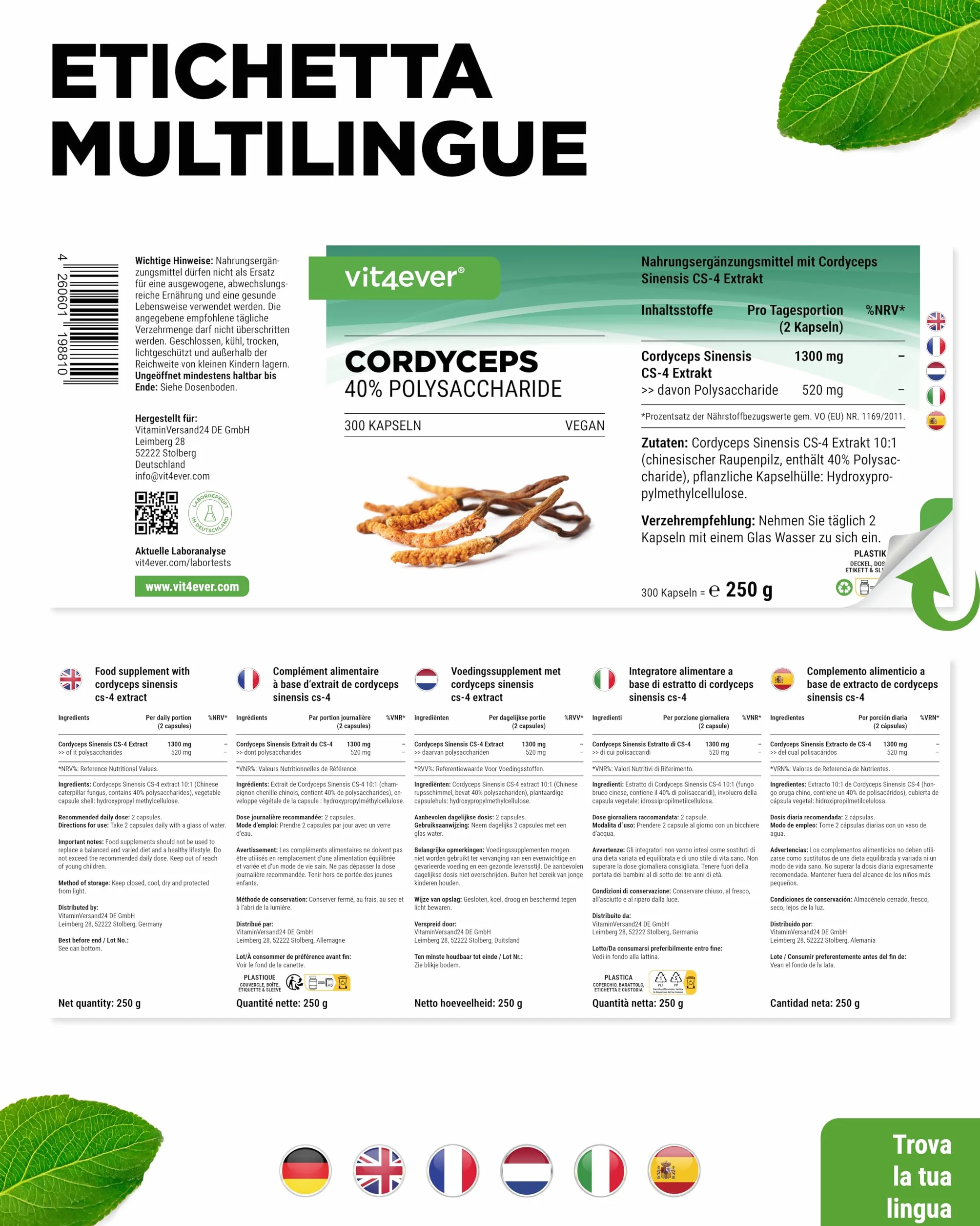 Fungo Cordyceps - 300 capsule con 650 mg di vero estratto CS-4-40% di polisaccaridi bioattivi - dose elevata - fungo bruco - vegano