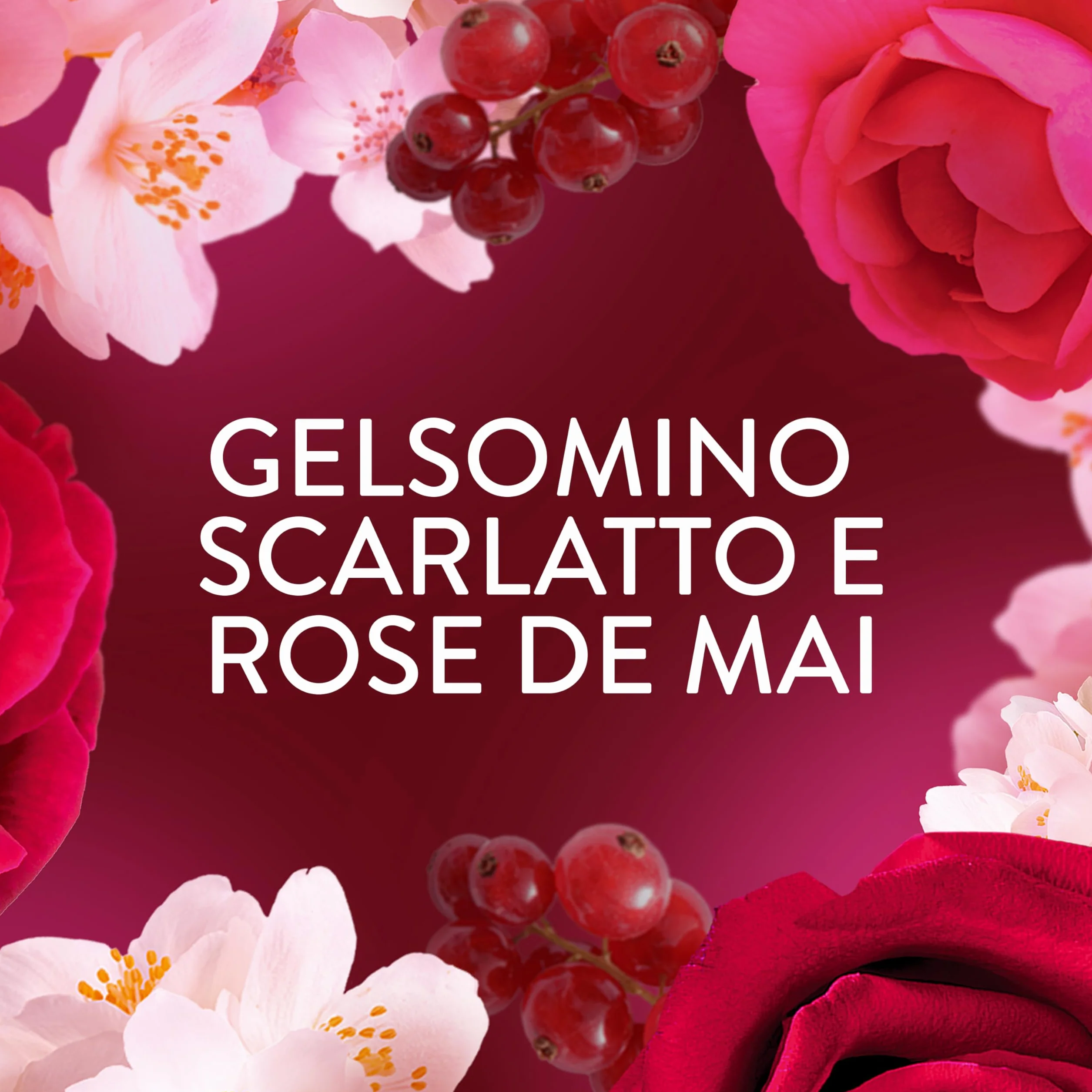 Lenor Ammorbidente Lavatrice Concentrato 216 Lavaggi (27x8), Gelsomino Scarlatto E Rose De Mai, Freschezza Che Dura 3 Volte Più A Lungo Con Tecnologia Olii Profumati