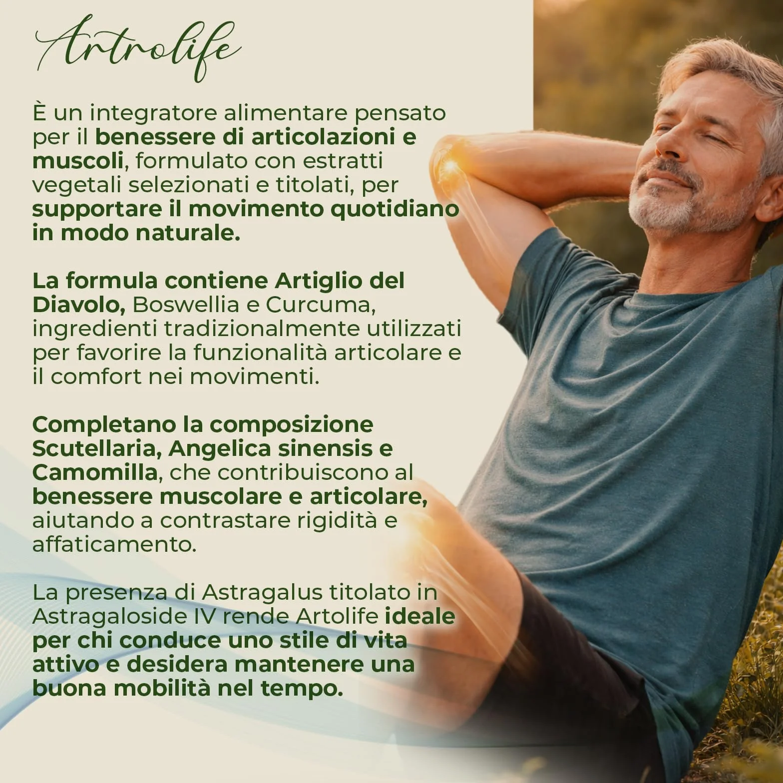 AP PLUS ARTROLIFE Integratore Alimentare per Articolazioni, Supporto Mobilità, Stress Ossidativo, Astragalus, Boswellia, Curcuma, Artiglio del Diavolo, 90 Compresse