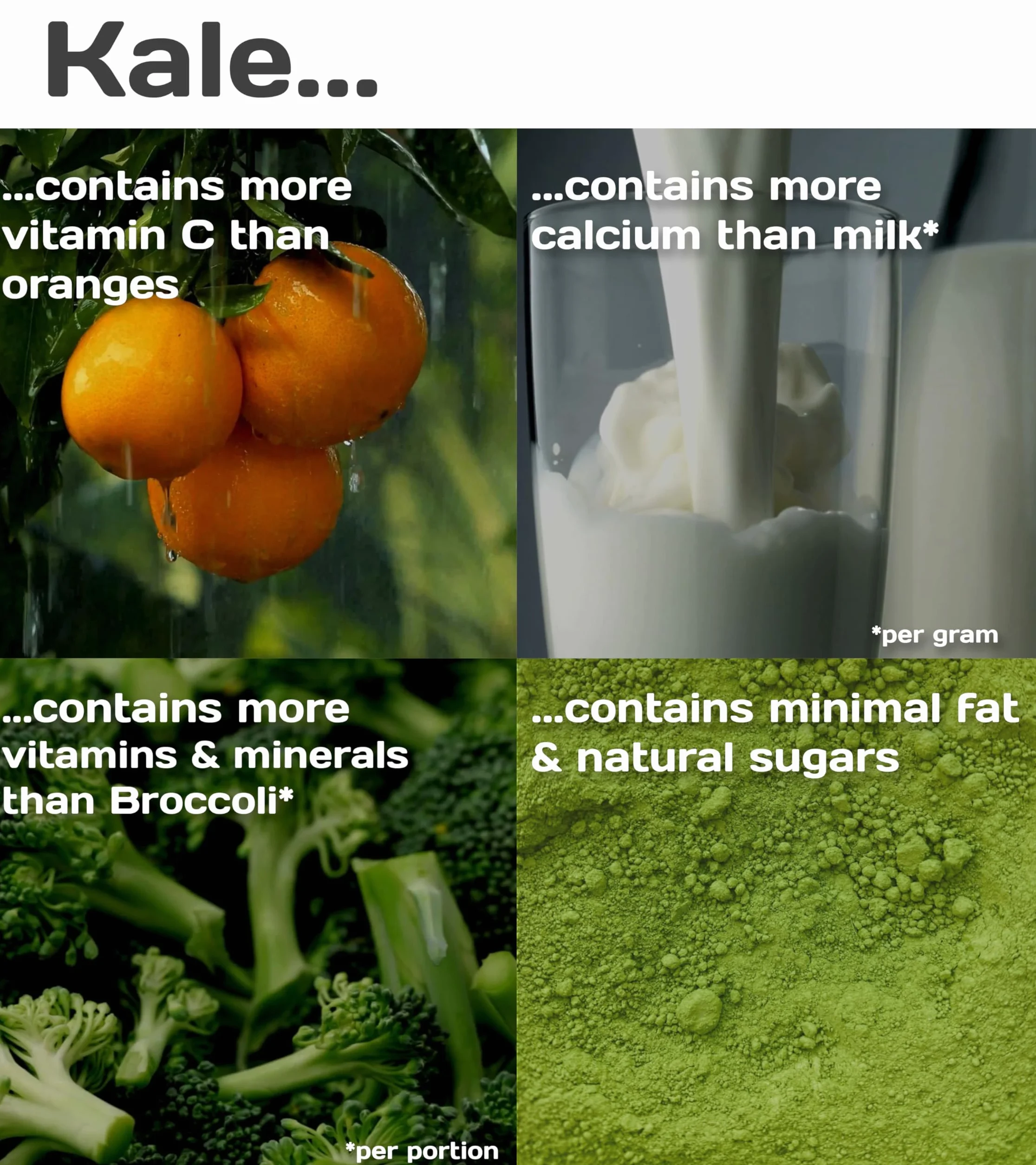 Pure Superfood Bioactive Kale Powder - Cavolo Liofilizzato, Alto Contenuto di Proteine, Kalzium, Vitamina C e K, 25 x 2g