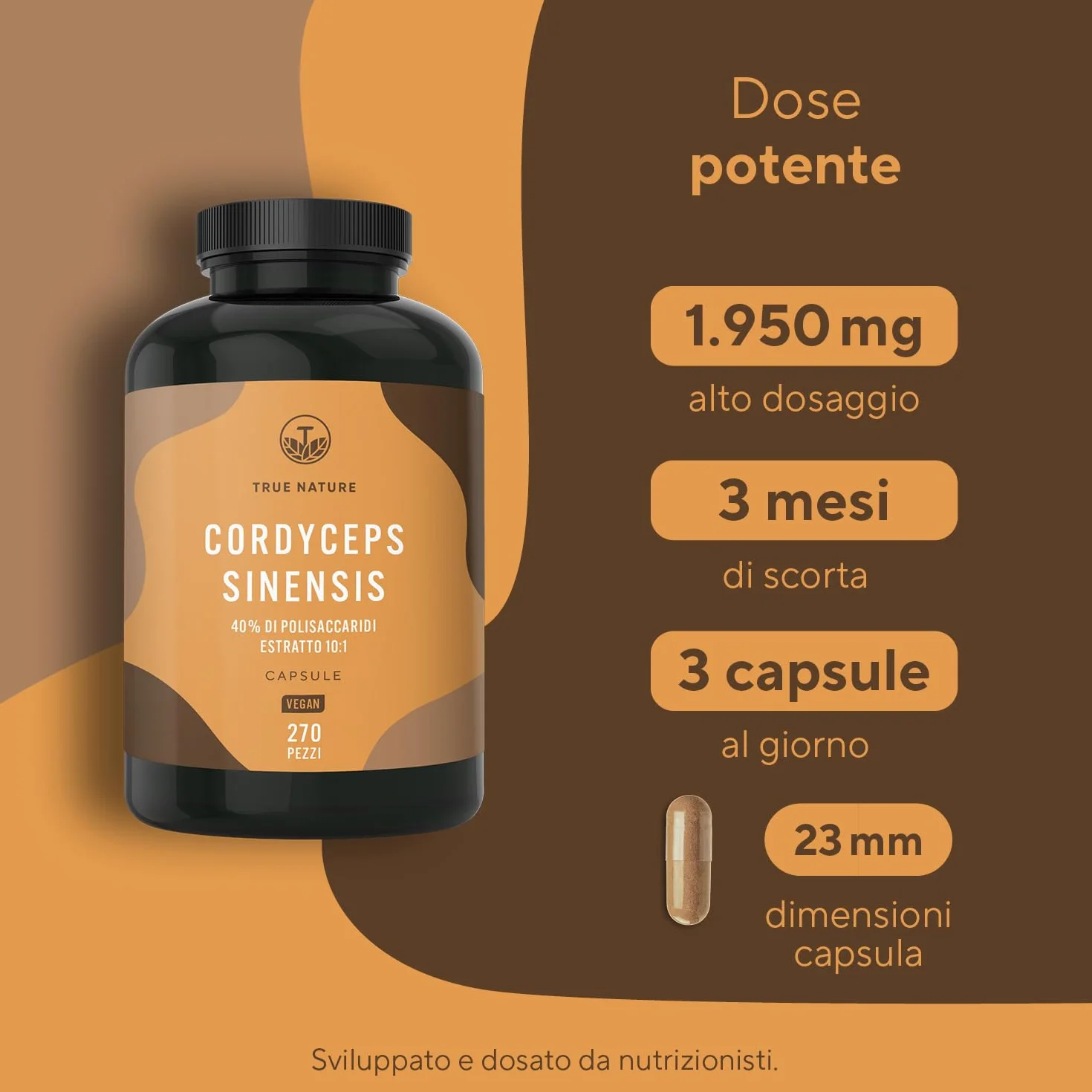 Cordyceps Sinensis - 19500 mg - 270 Capsule (Estratto CS-4 10:1) Alto dosaggio - con 40% di Polisaccaridi Bioattivi - Analizzato in Italia e confezionato in Germania da TRUE NATURE