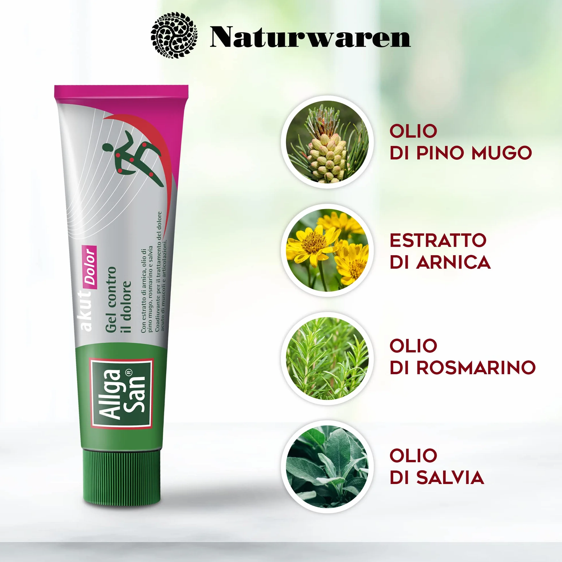 Allga San Akut Dolor Arnica Gel Forte 100 ml, Crema per Dolori Articolari e Muscolari, Massaggio con Canfora