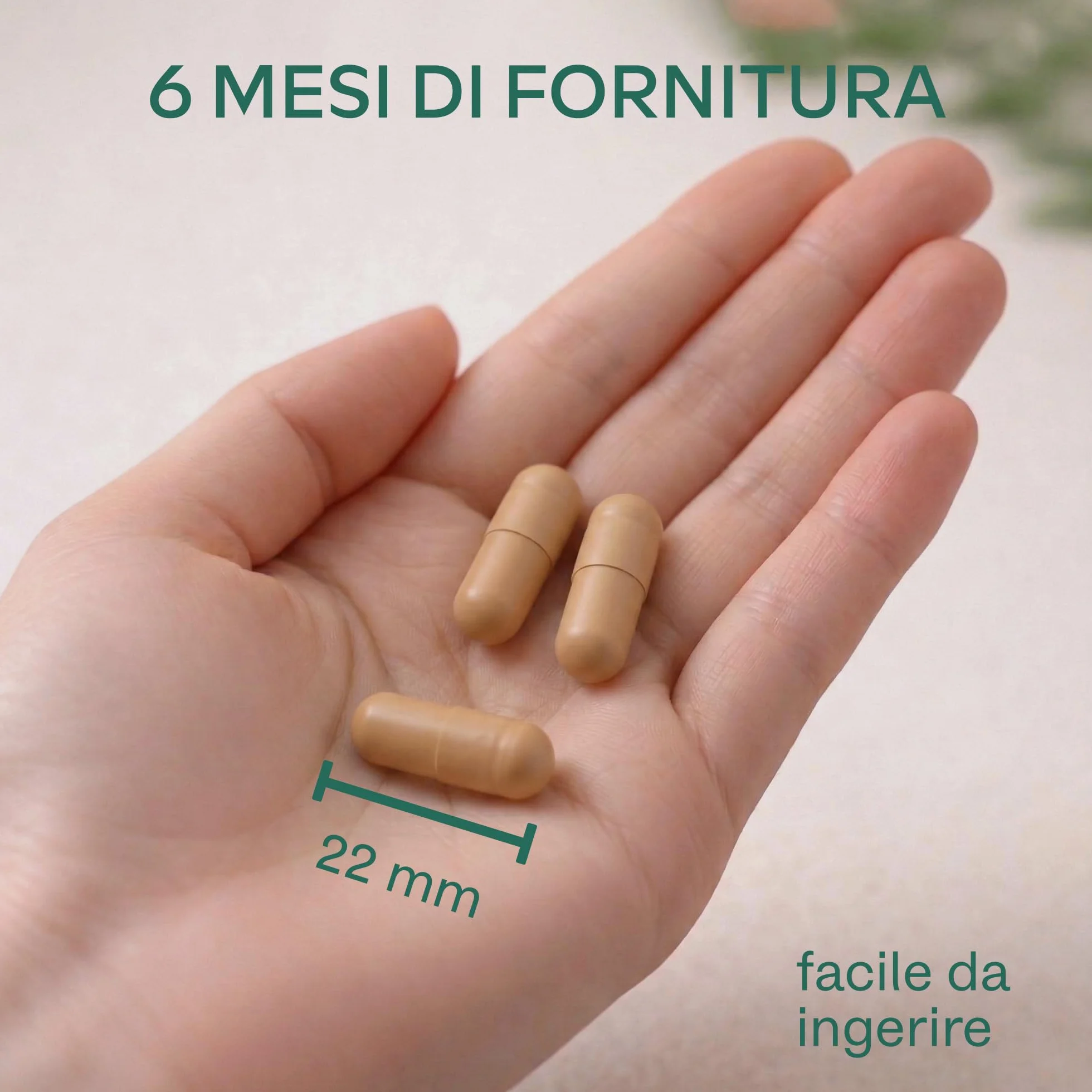 Ginkgo Biloba Integratore 7500mg 50:1 con Ginseng Rosso Coreano, Bacopa Monnieri, Vitamina B Complex, Zinco - Nootropico Memoria e Concentrazione - 180 capsule