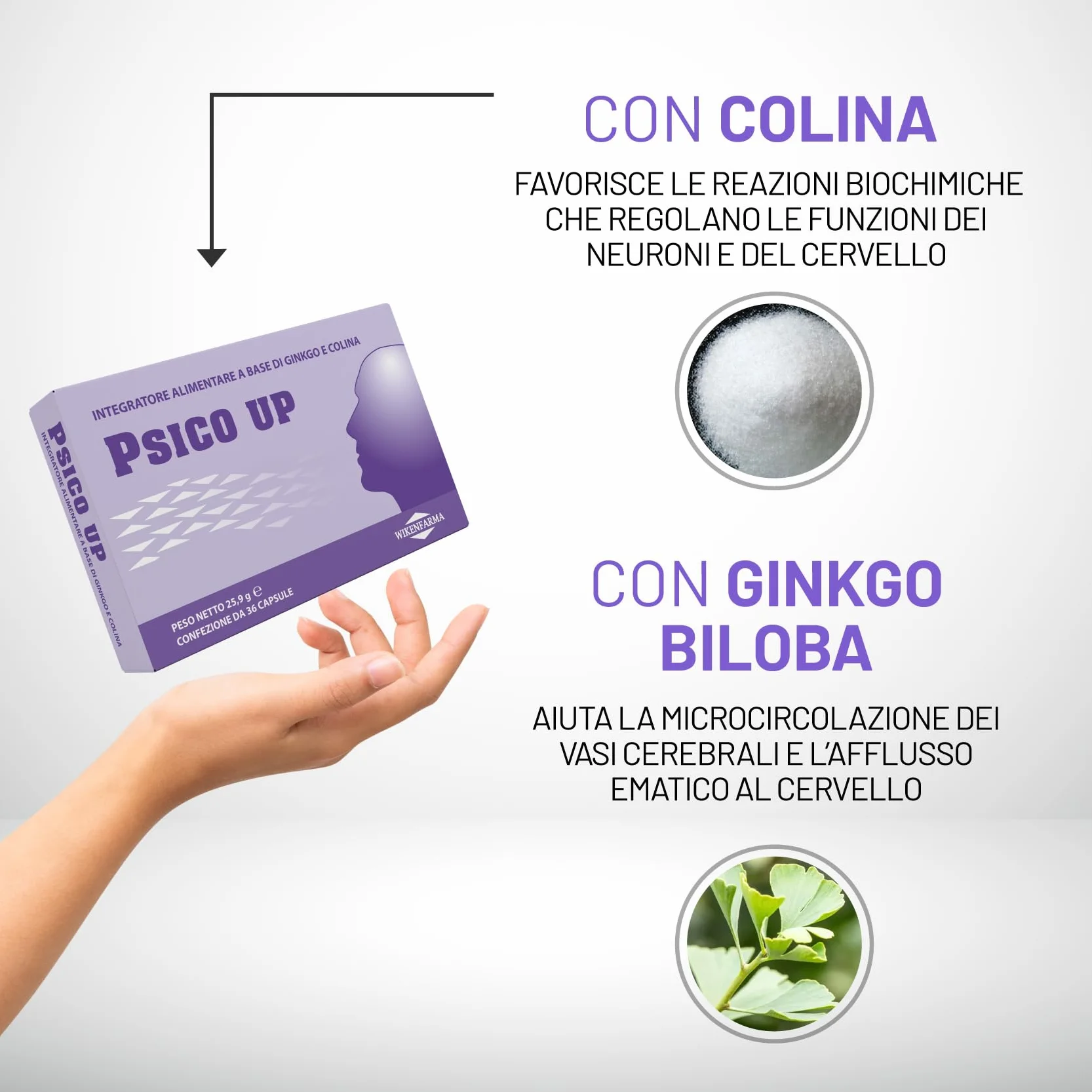 Psico Up Integratore alimentare per la concentrazione e la memoria – Adatto per gli studenti – Ginkgo Biloba e Colina per migliorare le facoltà mentali – Consigliato per lo studio e il lavoro - 36CPS