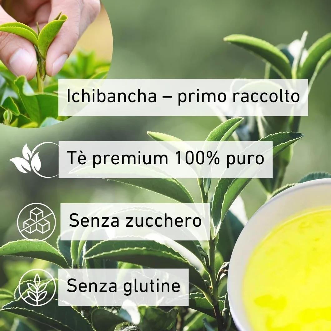 Daisan Tea, Honyama Tè Verde, Tè Verde Giapponese, Tè Sencha Premium | Tè fresco raccolto, Ryoku-Cha Verde Giapponese di Shizuoka, Giappone, Novità in Europa (100g)