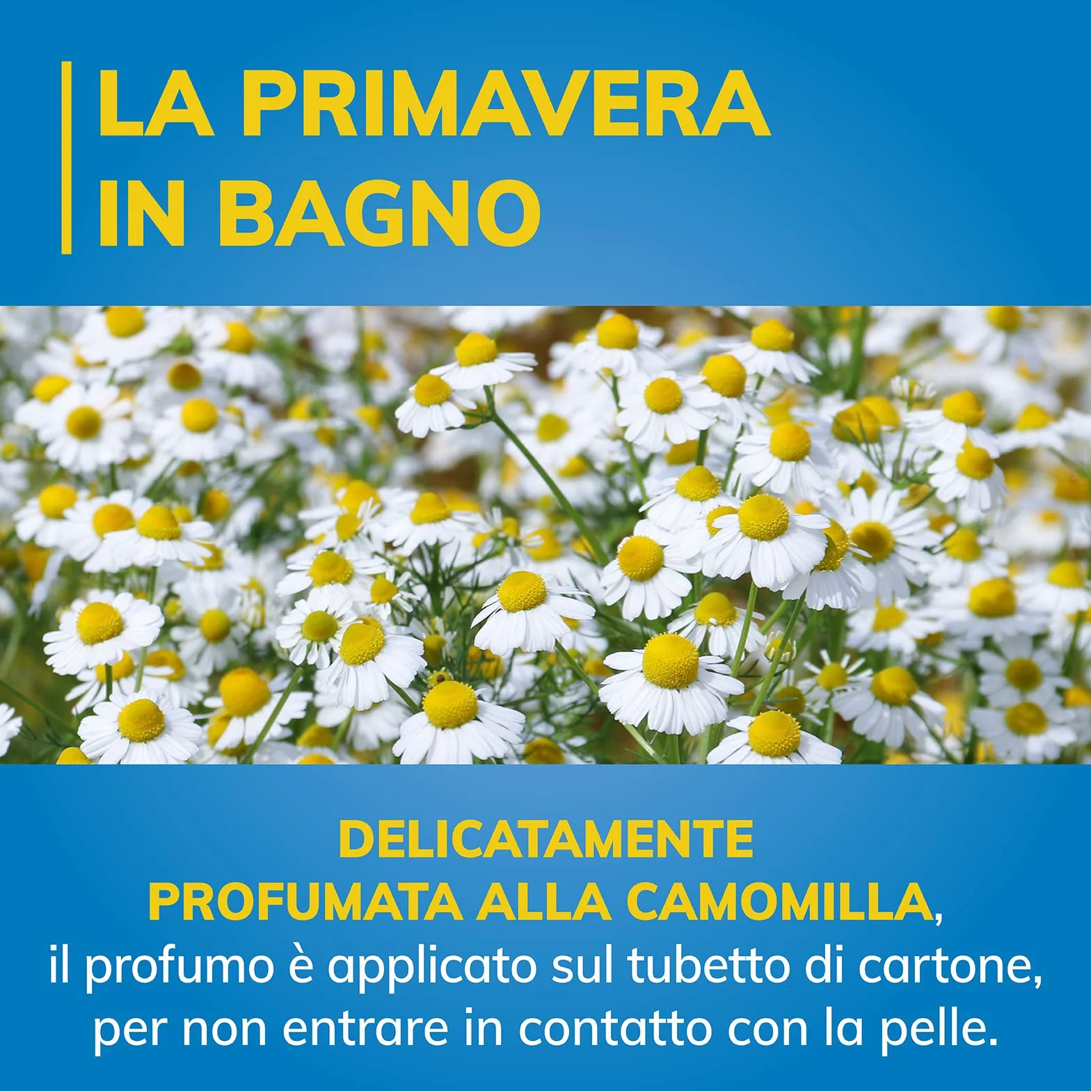 Carta igienica 3 veli profumata alla camomilla 56 rotoli 160 strappi PEFC riciclabile